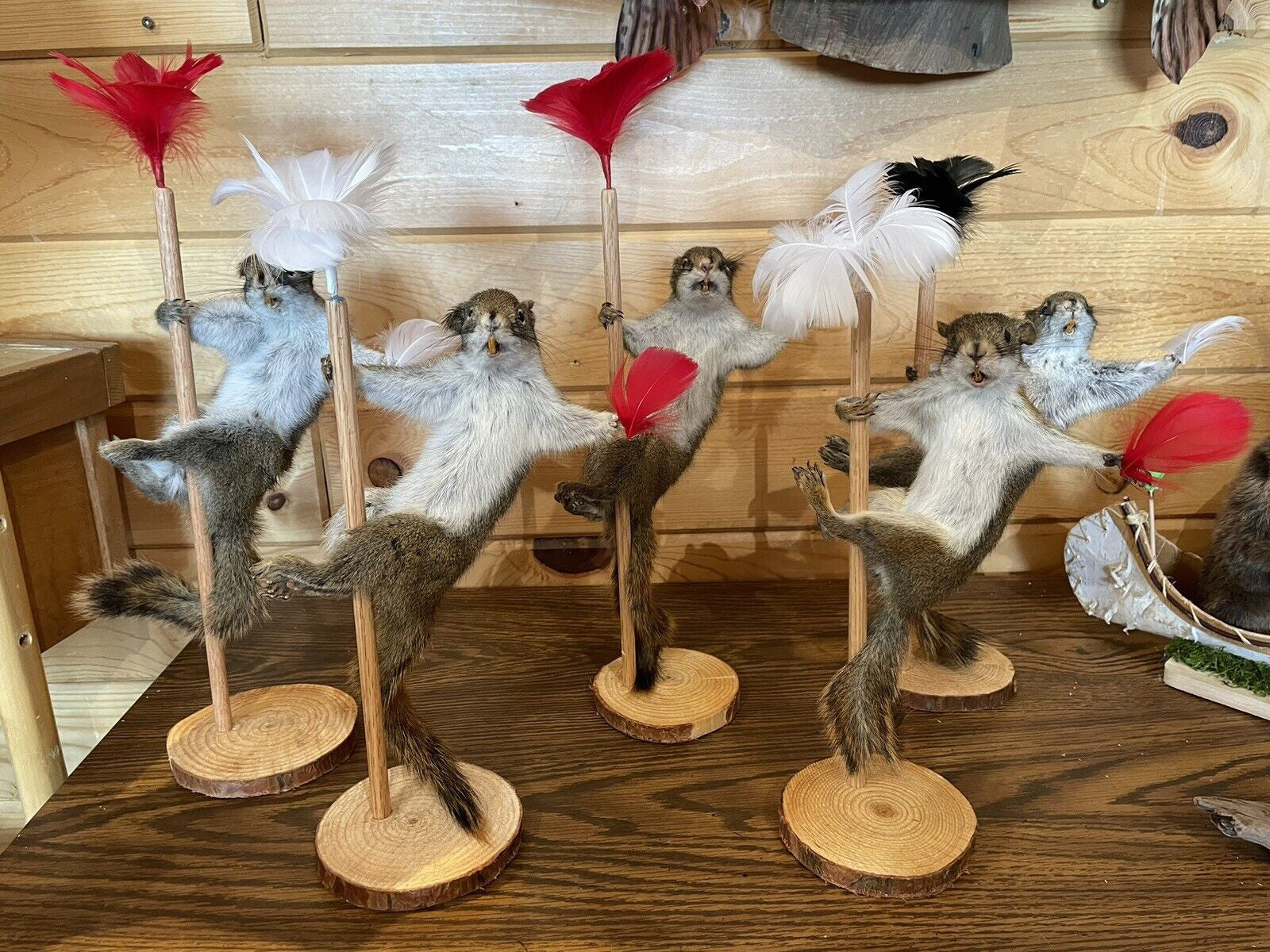 Beautiful Dancing Red Squirrel Small Animal Taxidermy Mount Art Wildlife