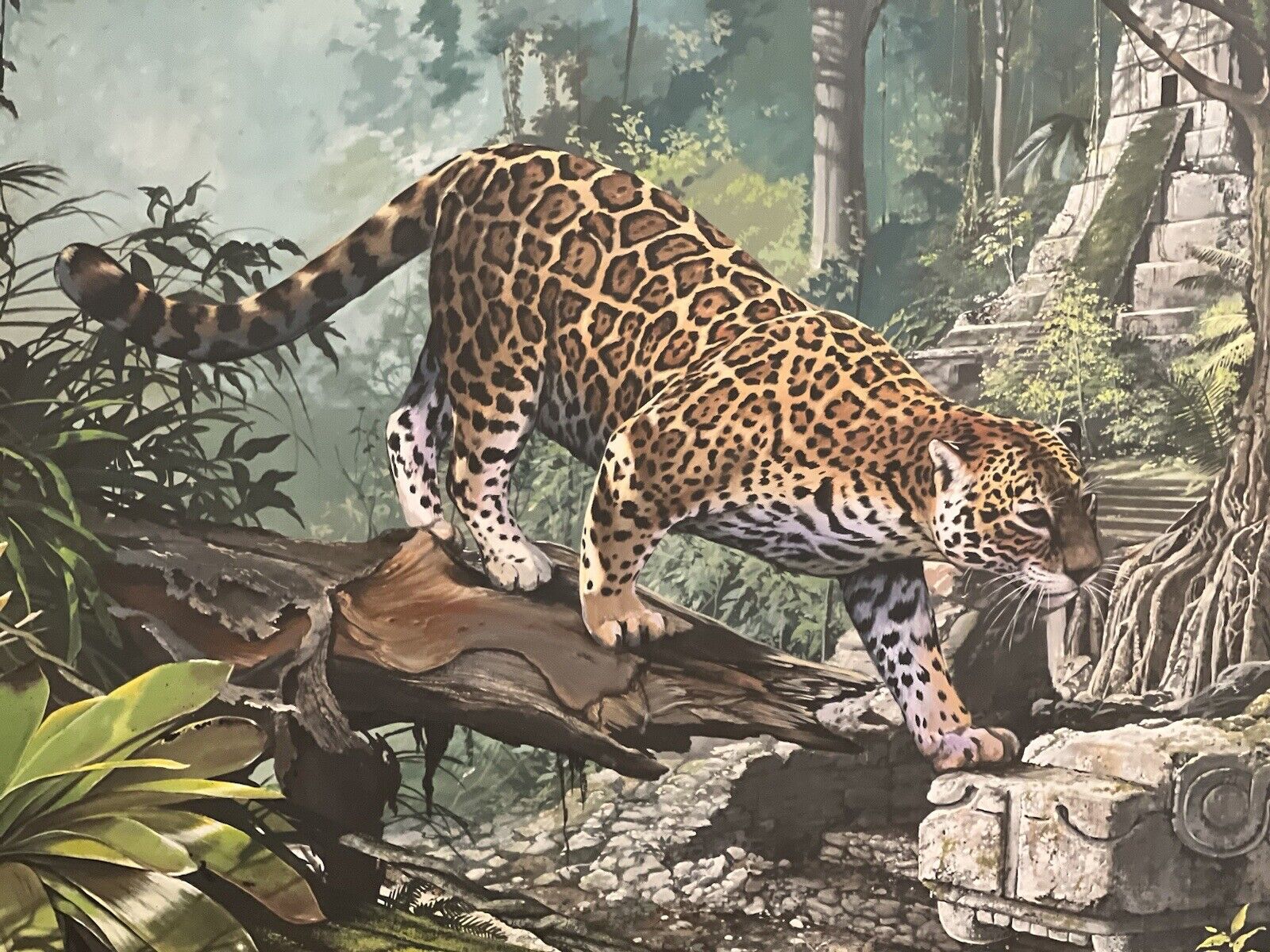 Original Oil Painting Wildlife Jaguar Artist Lowell shapley