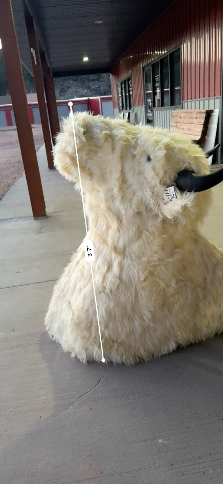 FH165-Faux Reproduction Buffalo / Bison Shoulder Taxidermy Mount )