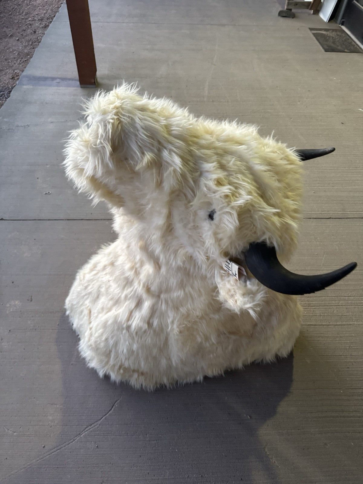 FH165-Faux Reproduction Buffalo / Bison Shoulder Taxidermy Mount )