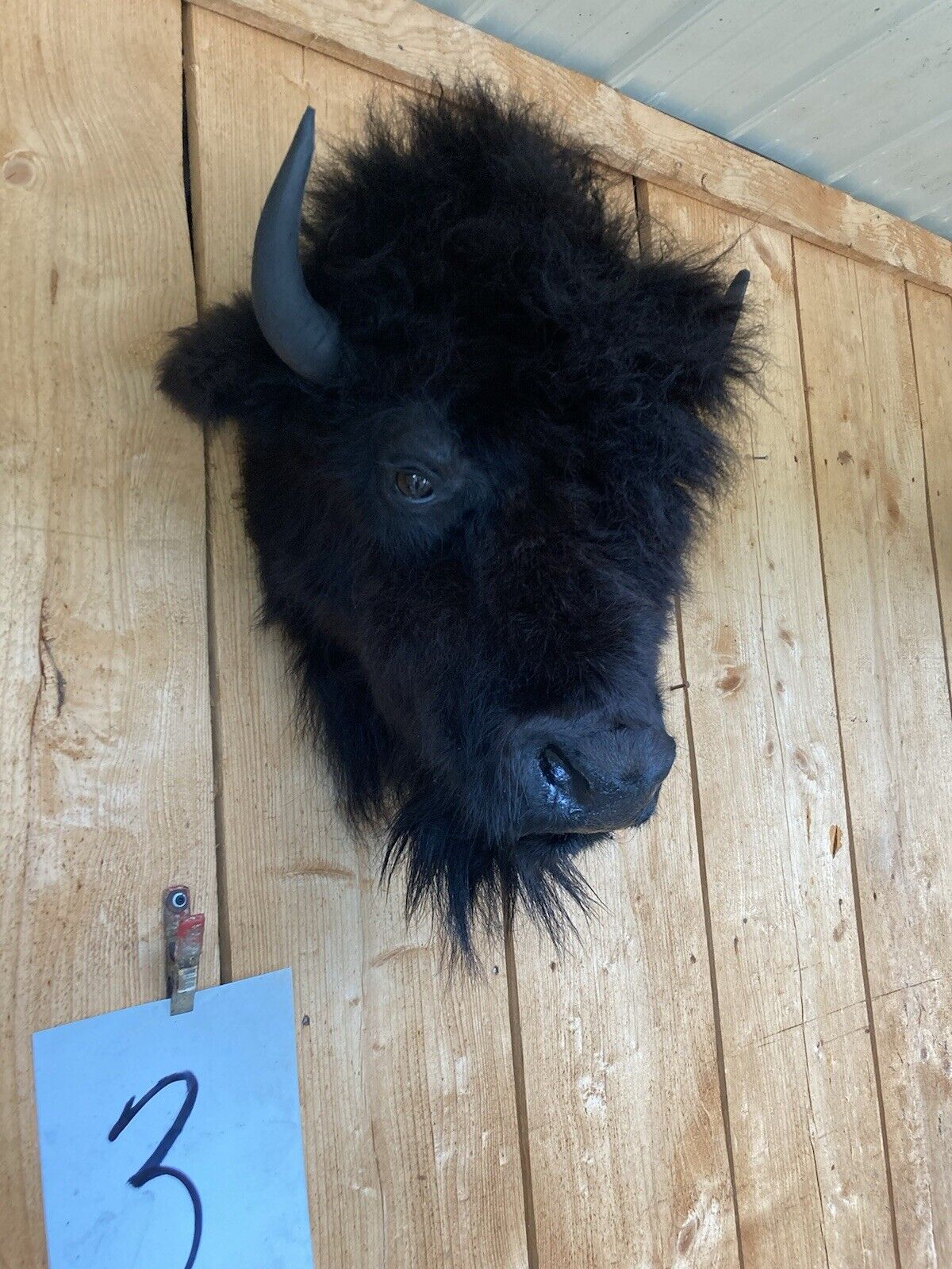 Mark Buffalo / Bison Head Taxidermy Mount New Neck Mount