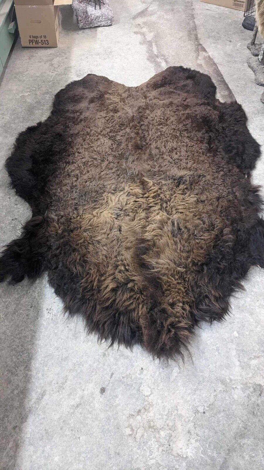 Real Buffalo / Bison Fresh Tanned Taxidermy Rug Hide Brand New