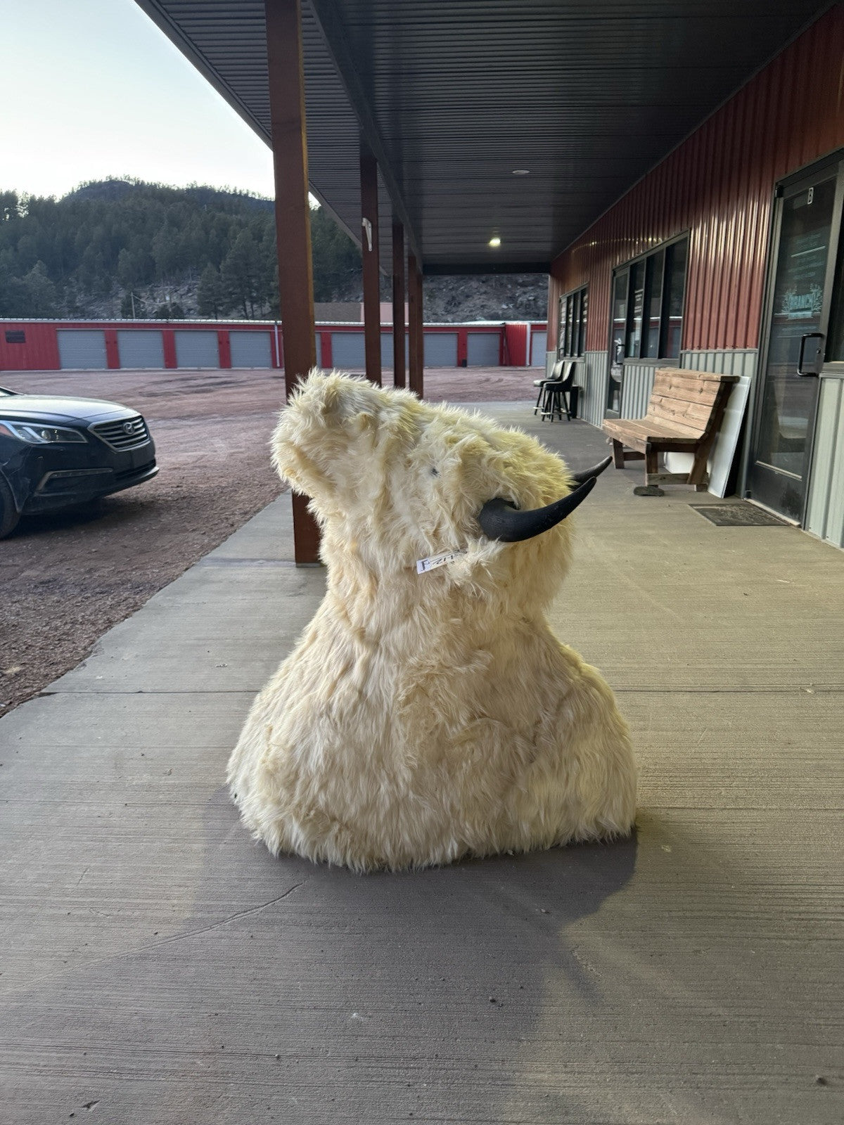 FH165-Faux Reproduction Buffalo / Bison Shoulder Taxidermy Mount )