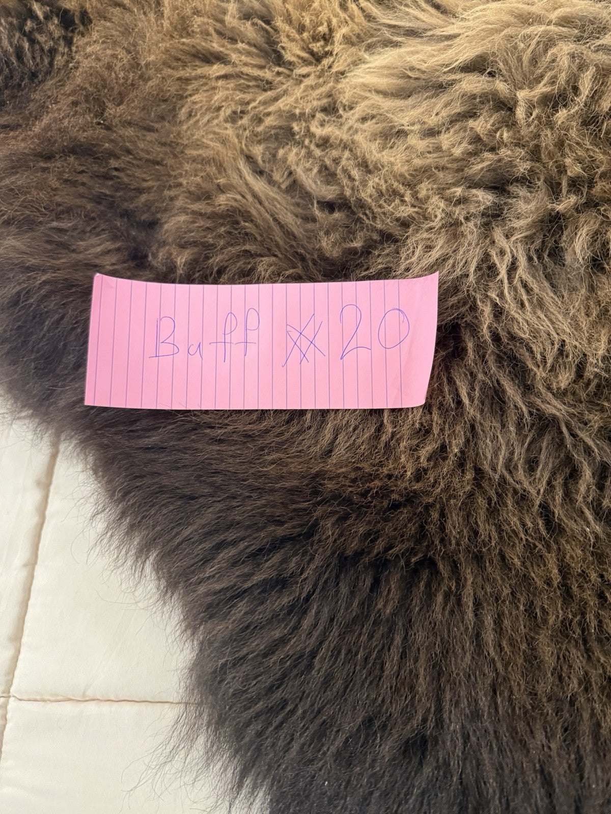 Prime Real Buffalo / Bison Fresh Taxidermy Rug Hide-buff20