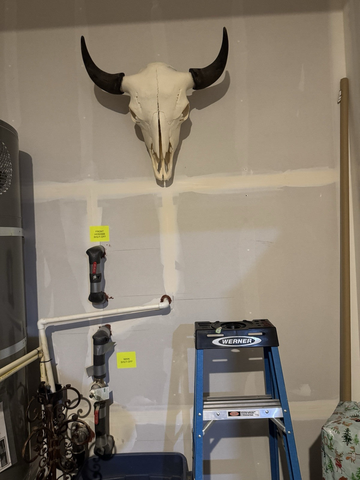 TAXIDERMY Massive Bison Buffalo Skull Real Horns Taxidermy Mount