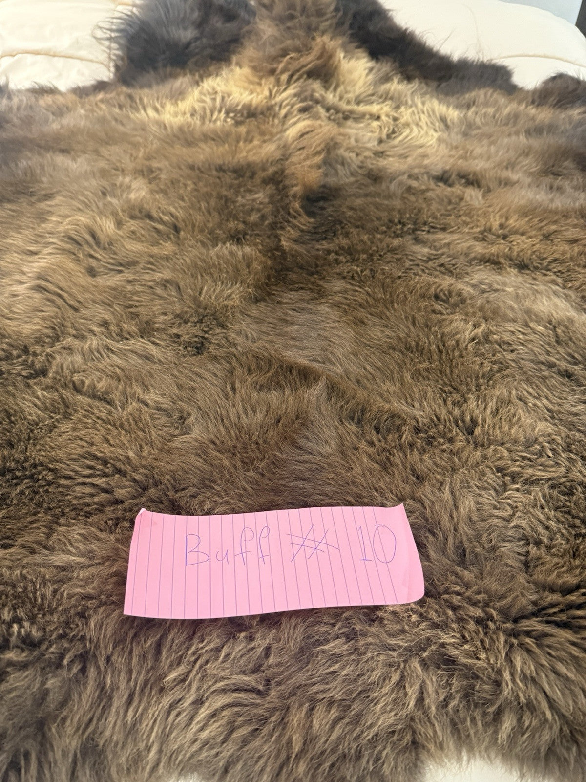 Prime Real Buffalo / Bison Fresh Taxidermy Rug Hide-buff10