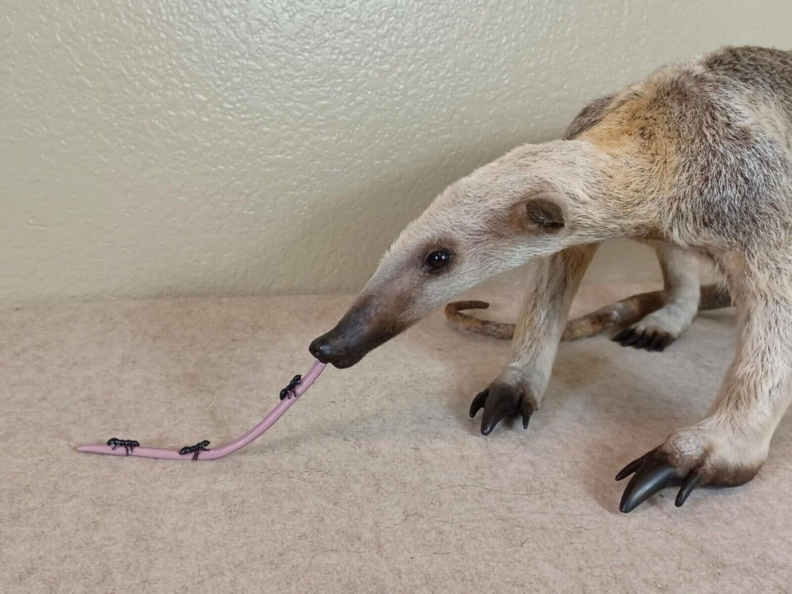 Tamandua / Ant Eater Full Body Mount Taxidermy - TAN1