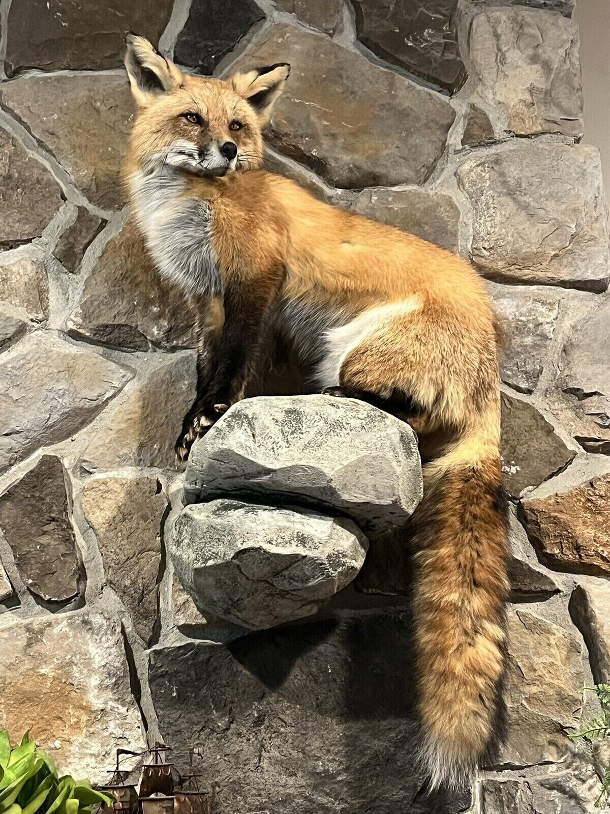 Red Fox Taxidermy Full Body Mount Cabin Camp Man Cave Home Office Den Decor NEW!