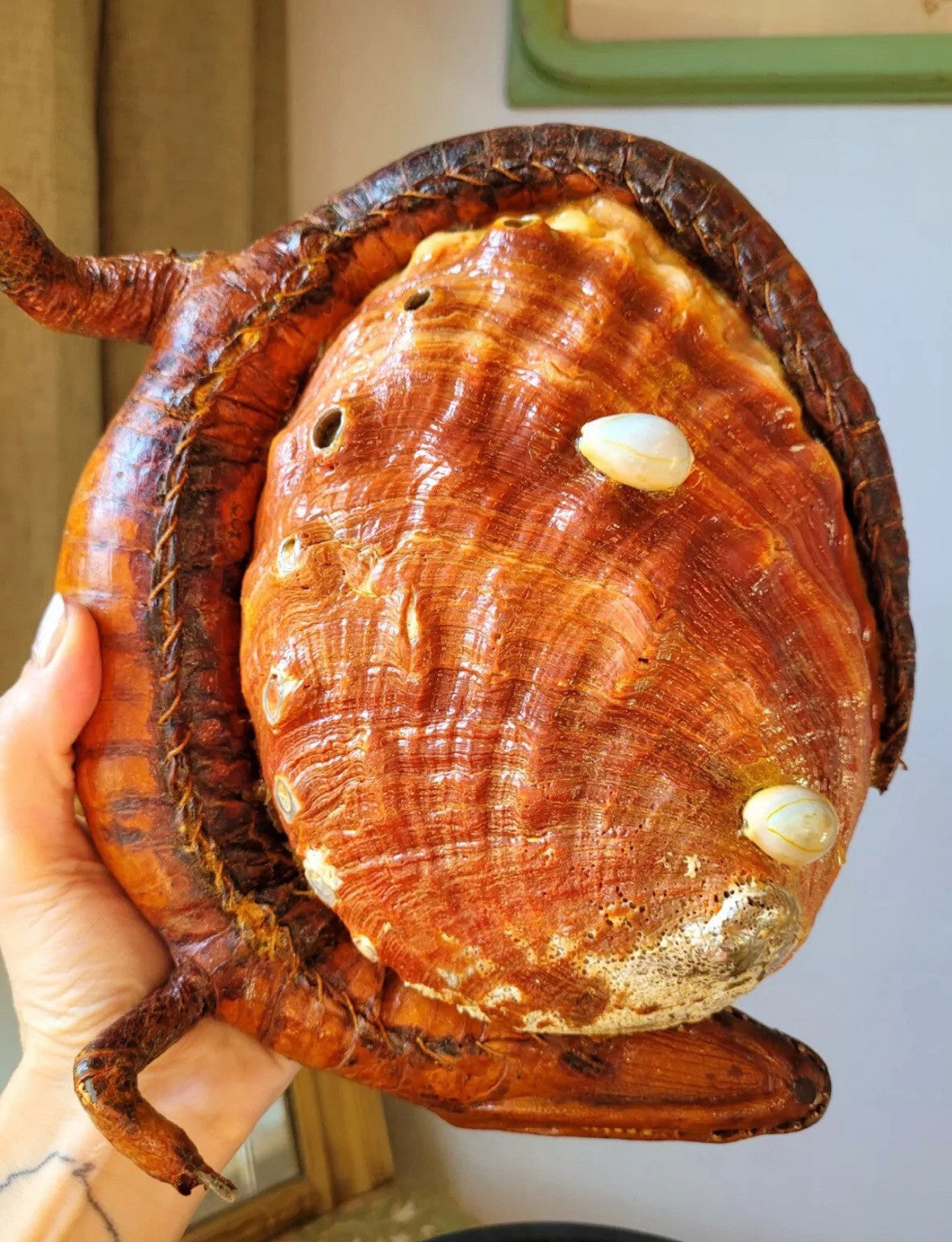 FHWA5-Vtg Oddities Taxidermy Abalone Shell Ashtray Smudge Dish Decor Mid-Century