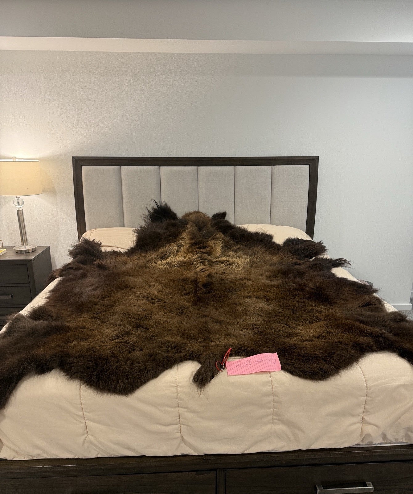 Prime Real Buffalo / Bison Fresh Taxidermy Rug Hide-buff10