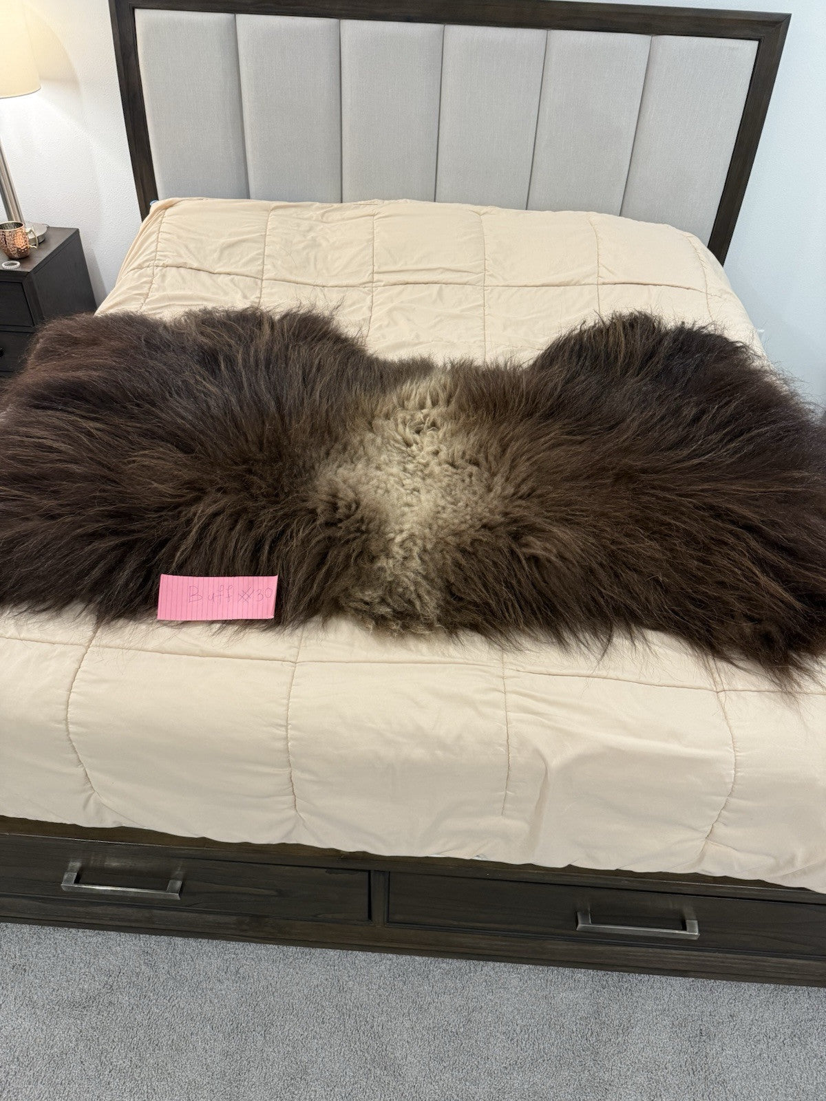 FHBD7 - Prime Real Muskox Fresh Taxidermy Rug Hide
