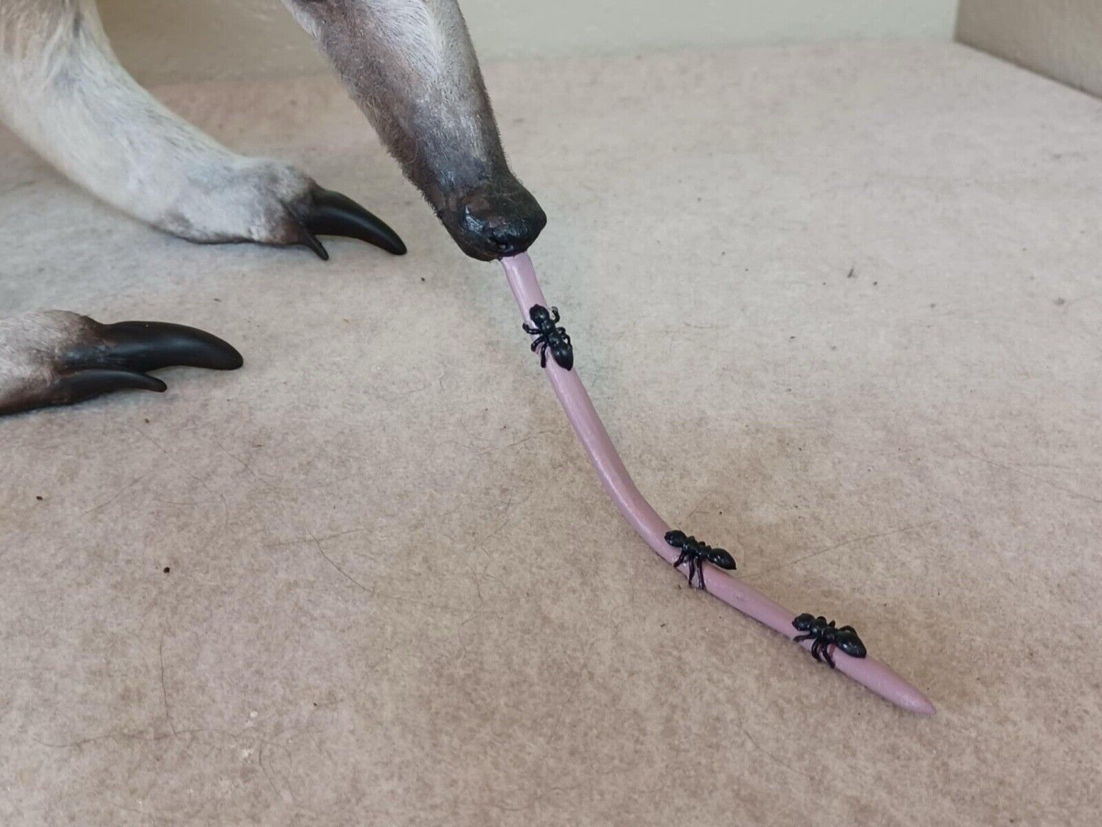 Tamandua / Ant Eater Full Body Mount Taxidermy - TAN1