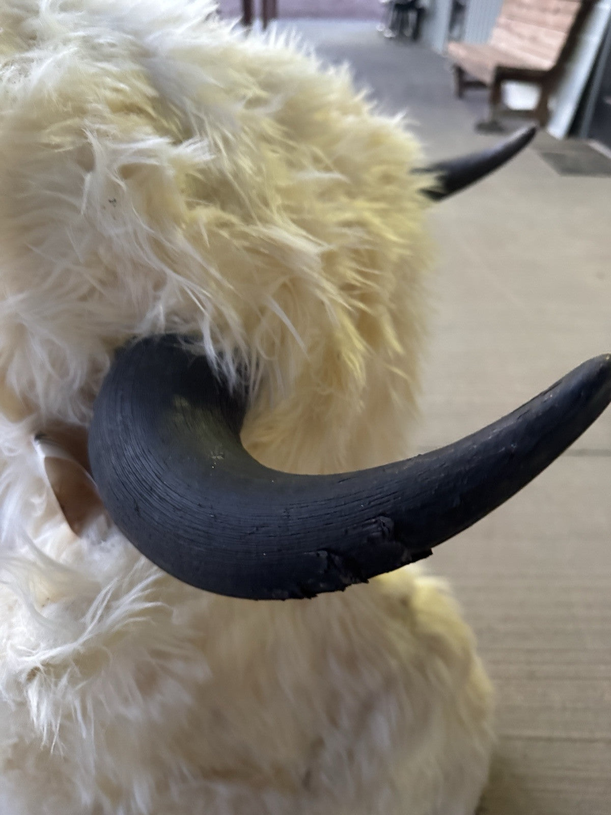 FH165-Faux Reproduction Buffalo / Bison Shoulder Taxidermy Mount )