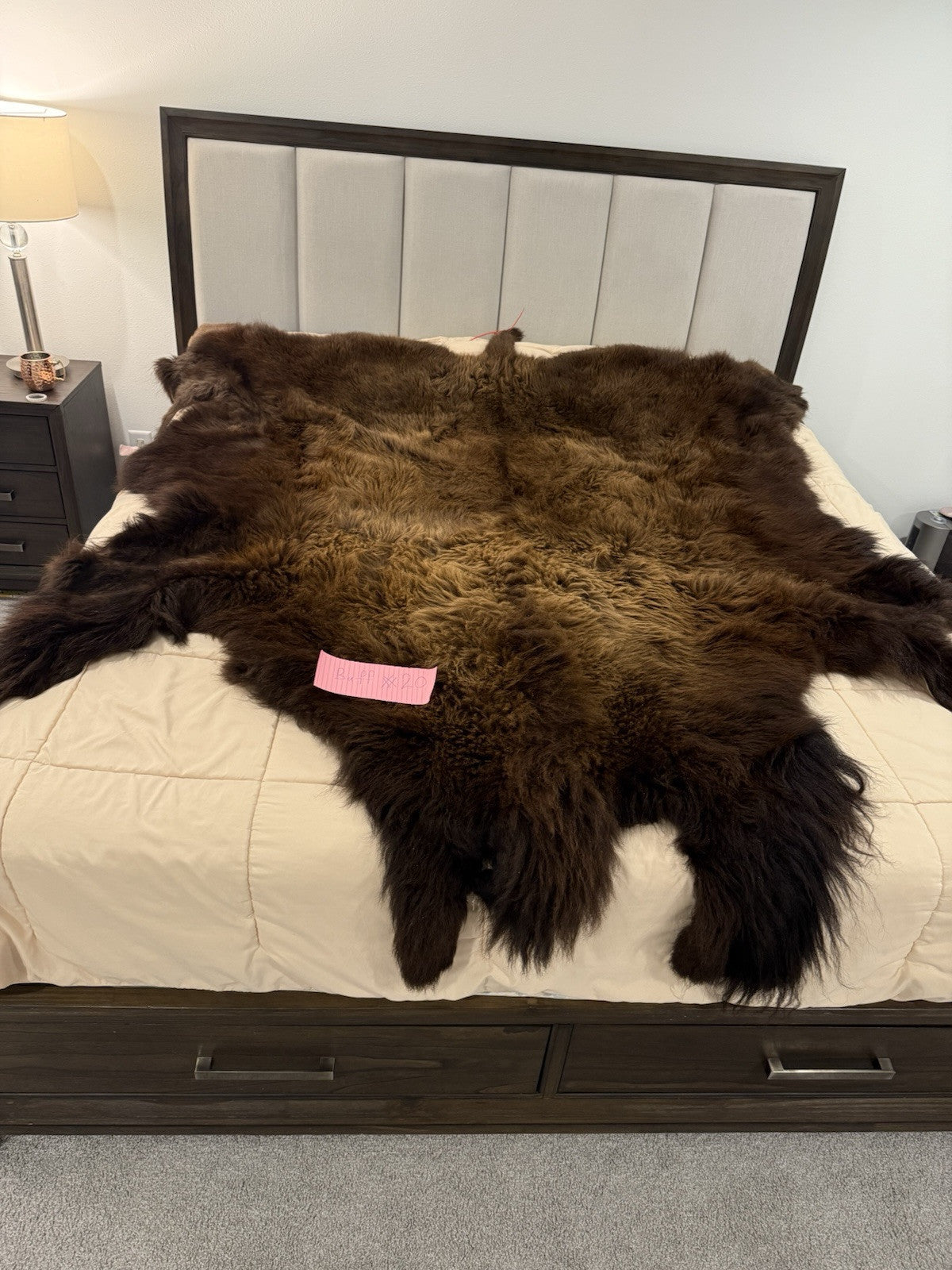 Prime Real Buffalo / Bison Fresh Taxidermy Rug Hide-buff20