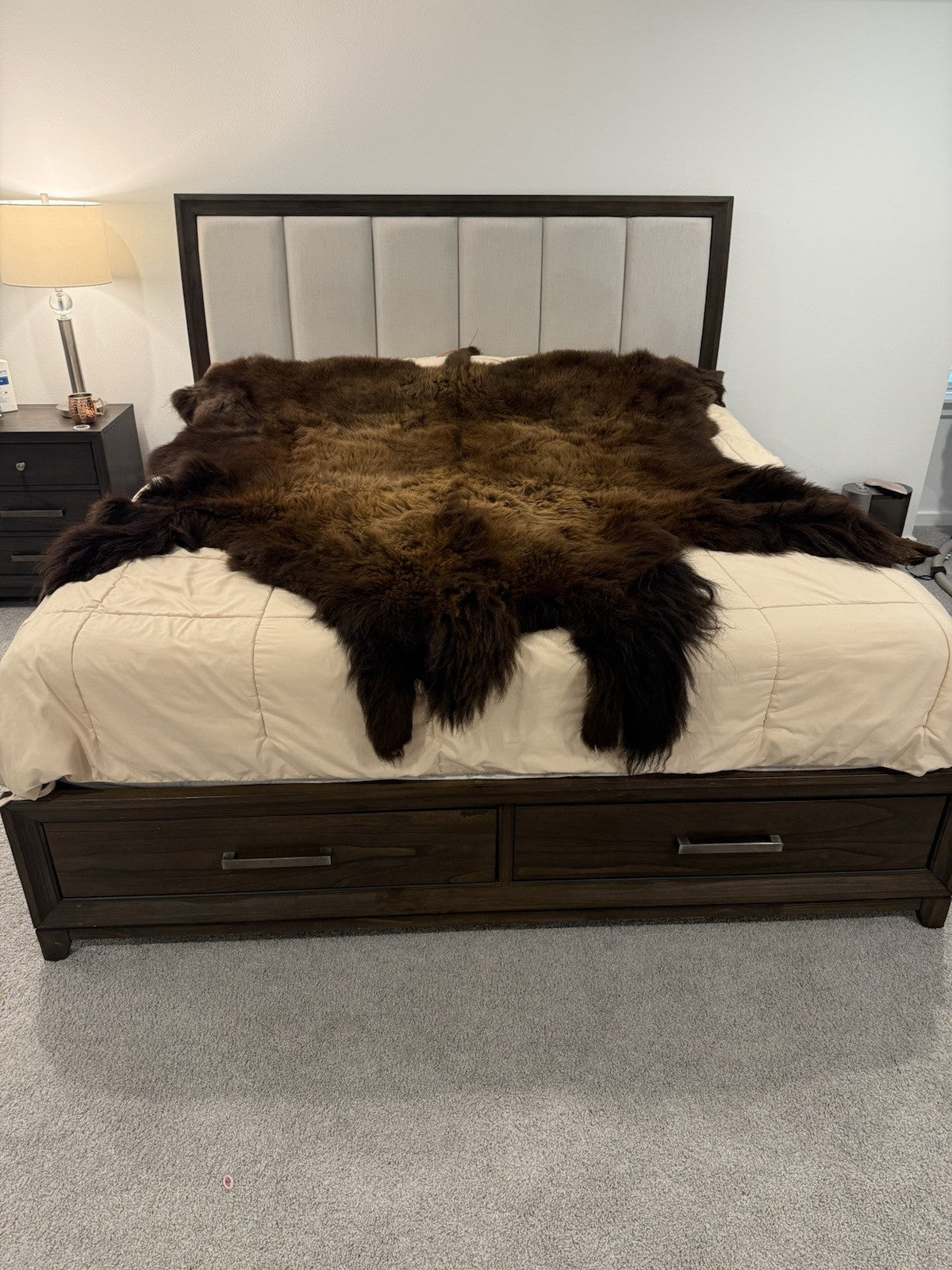 Prime Real Buffalo / Bison Fresh Taxidermy Rug Hide-buff20