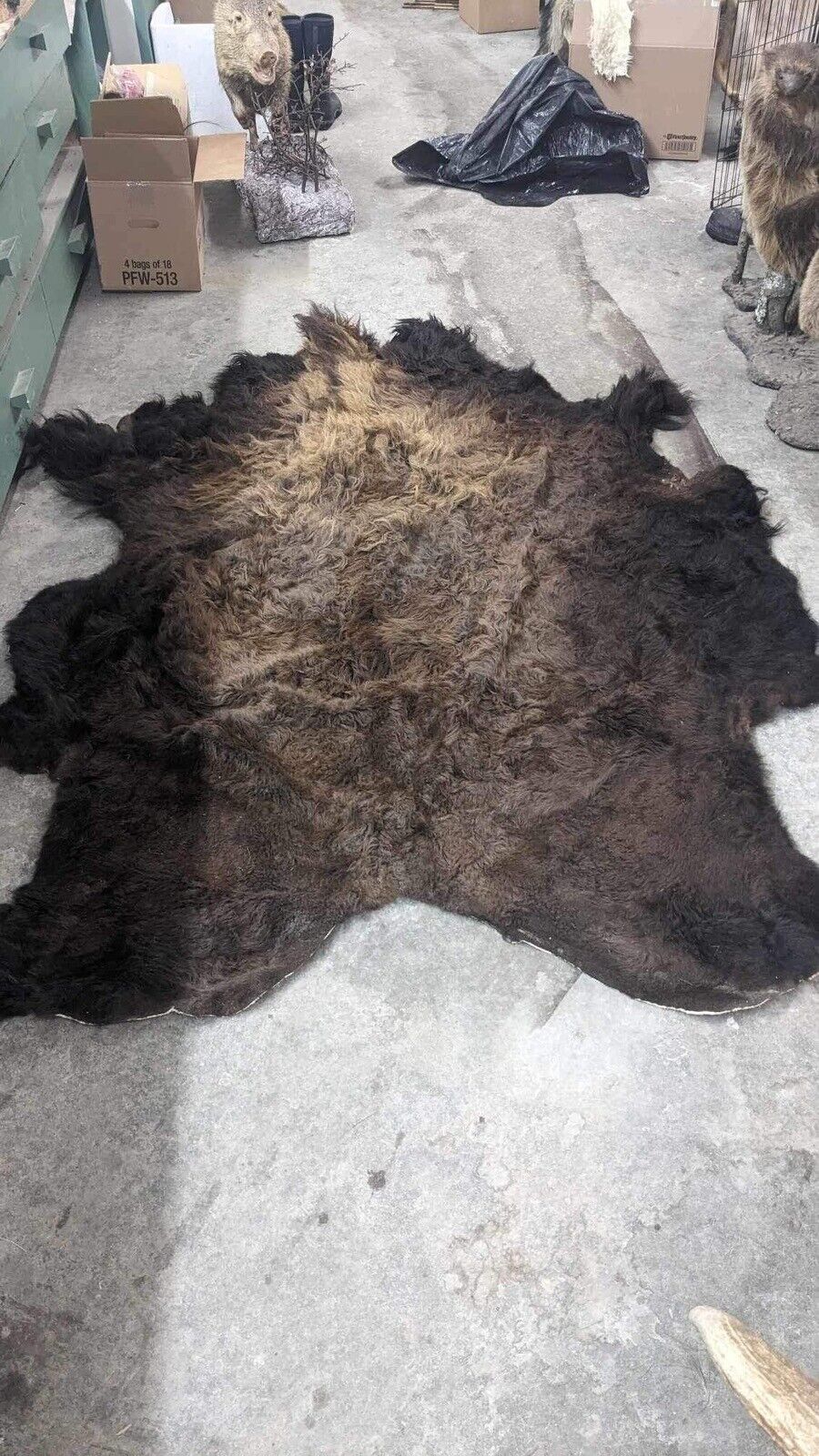Real Buffalo / Bison Fresh Tanned Taxidermy Rug Hide Brand New