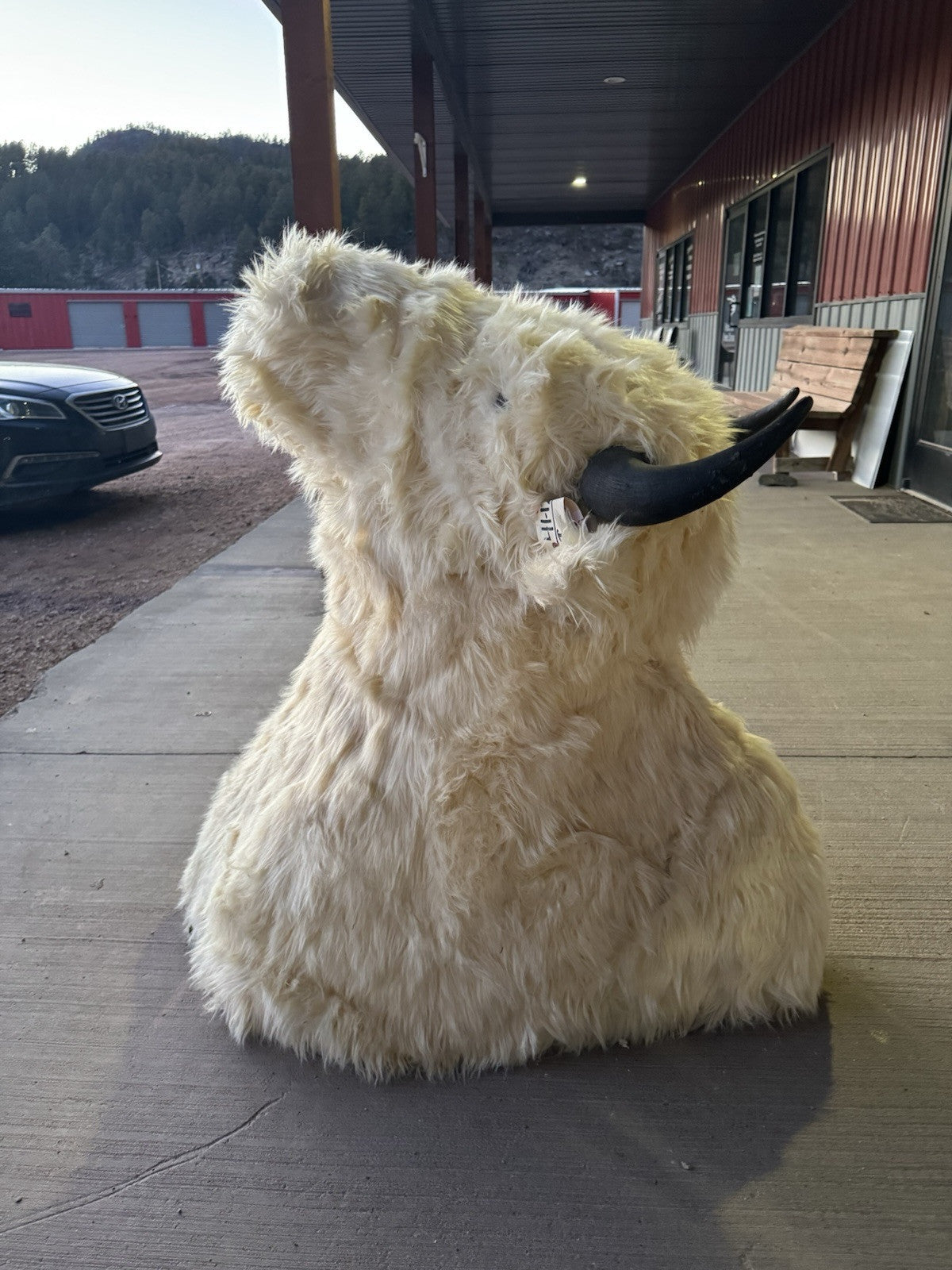 FH165-Faux Reproduction Buffalo / Bison Shoulder Taxidermy Mount )