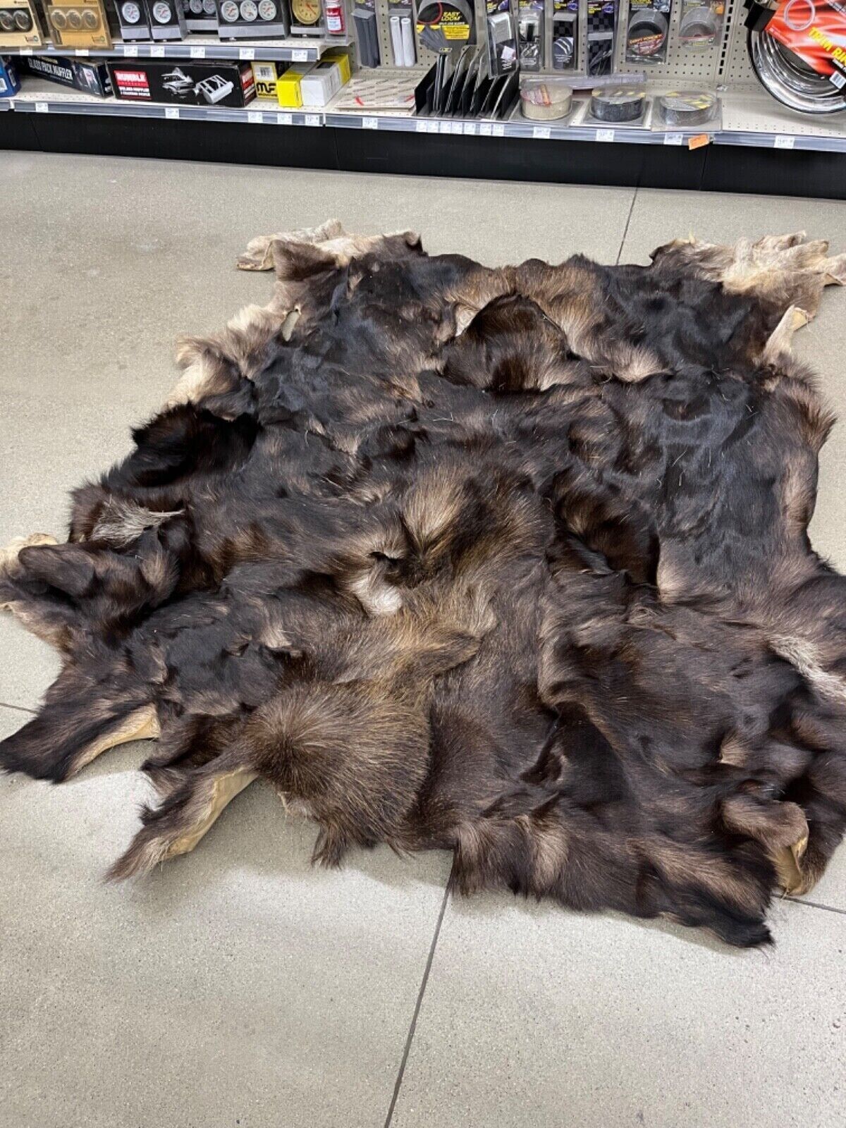 FH132-Moose Skin Very Good Condition