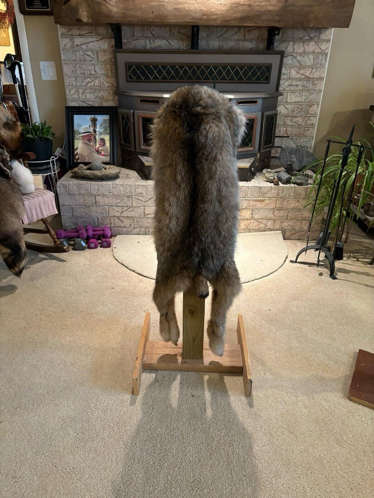 Prime Canadian Lynx Drape Hat Taxidermy Mount Sku-Kev1