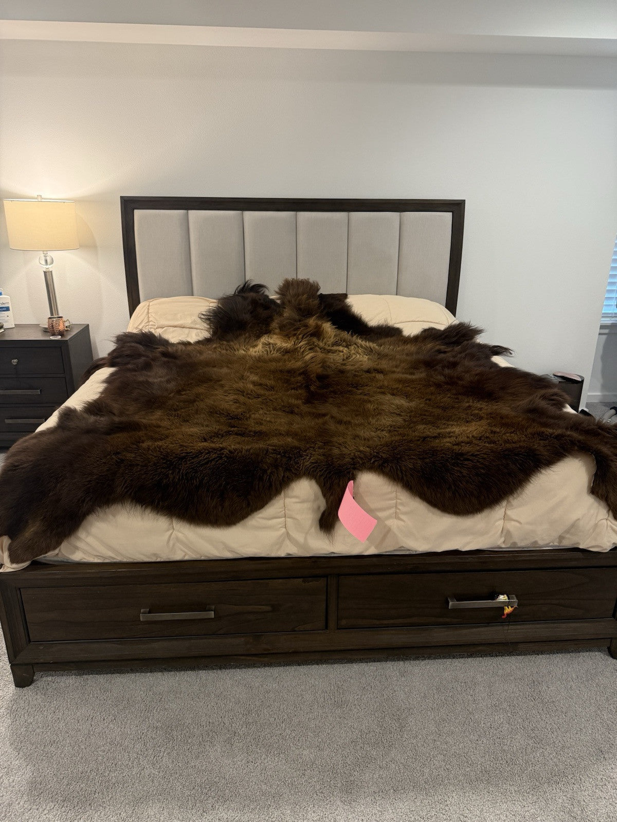 Prime Real Buffalo / Bison Fresh Taxidermy Rug Hide-buff10
