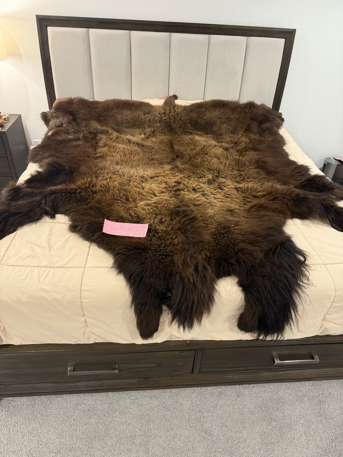Prime Real Buffalo / Bison Fresh Taxidermy Rug Hide-buff20