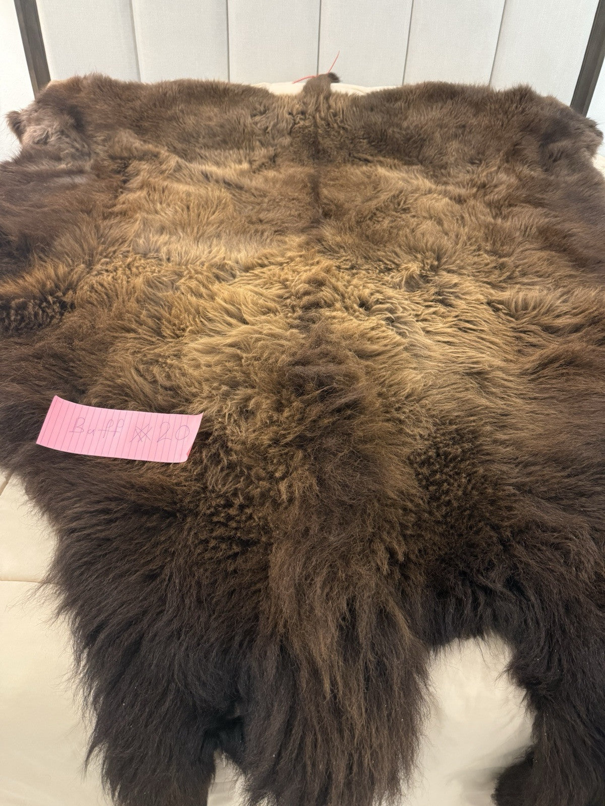 Prime Real Buffalo / Bison Fresh Taxidermy Rug Hide-buff20
