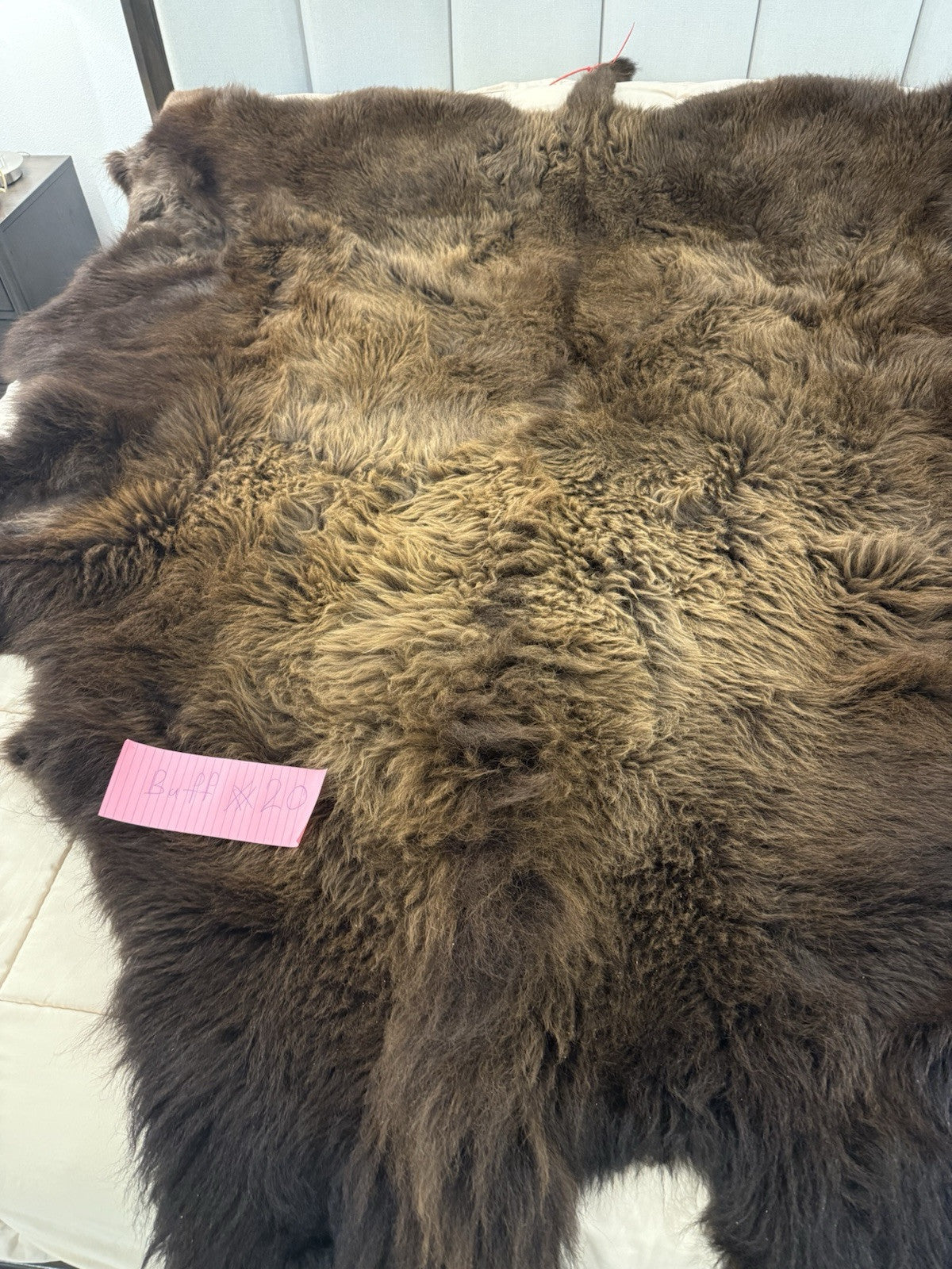 Prime Real Buffalo / Bison Fresh Taxidermy Rug Hide-buff20