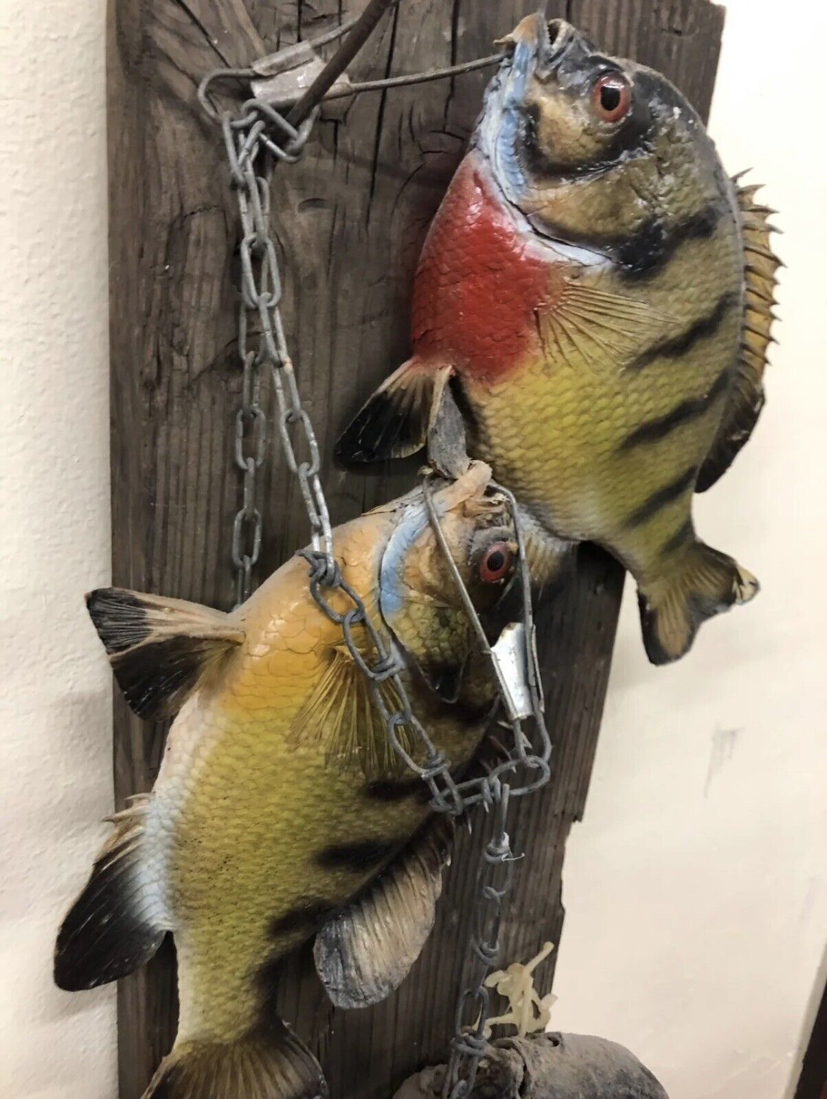 Realistic Crappie Wall Mount Wildlife Art Cabin Art Decor