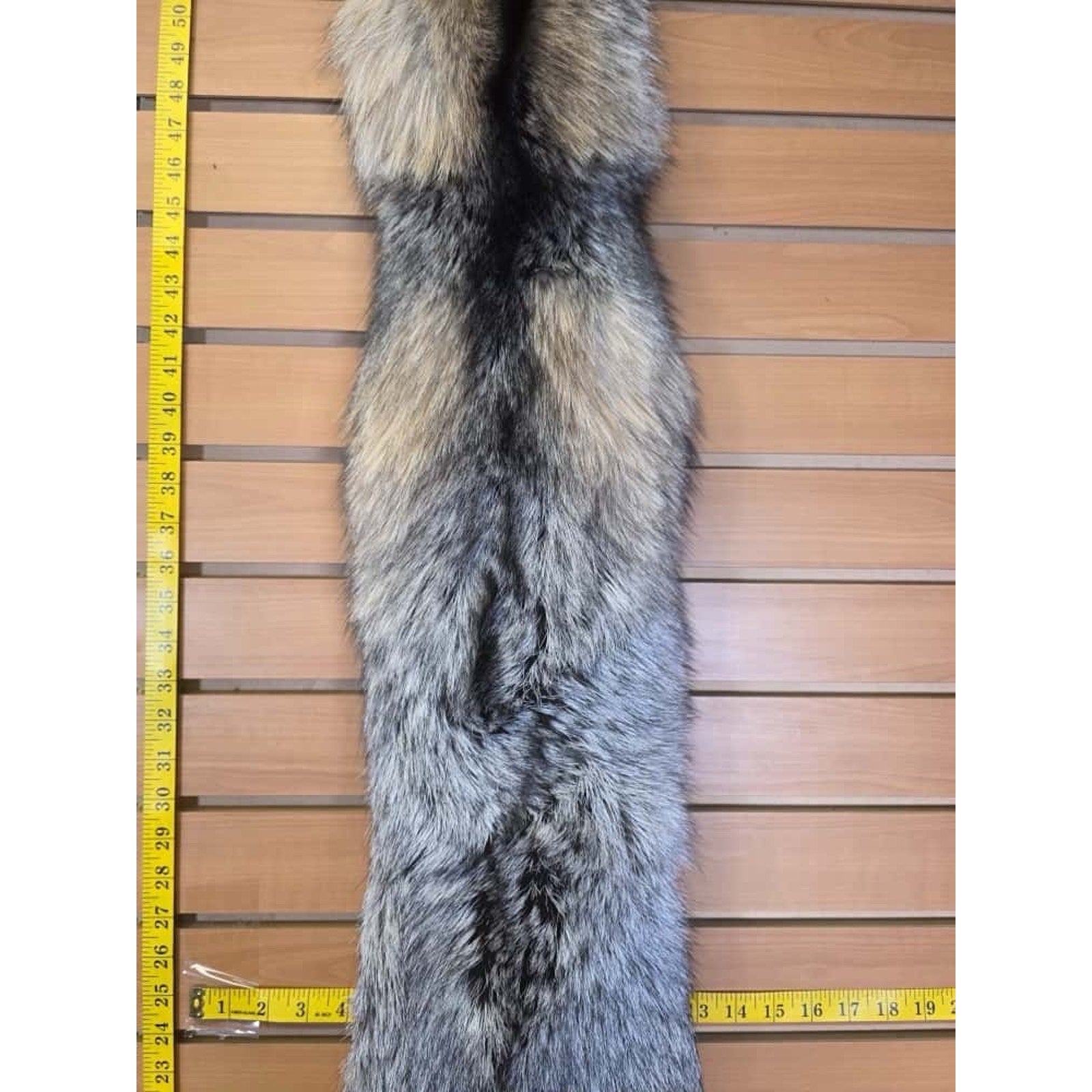 FHCM15 - Gorgeous Ranch Fox Soft Tanned Furs Taxidermy
