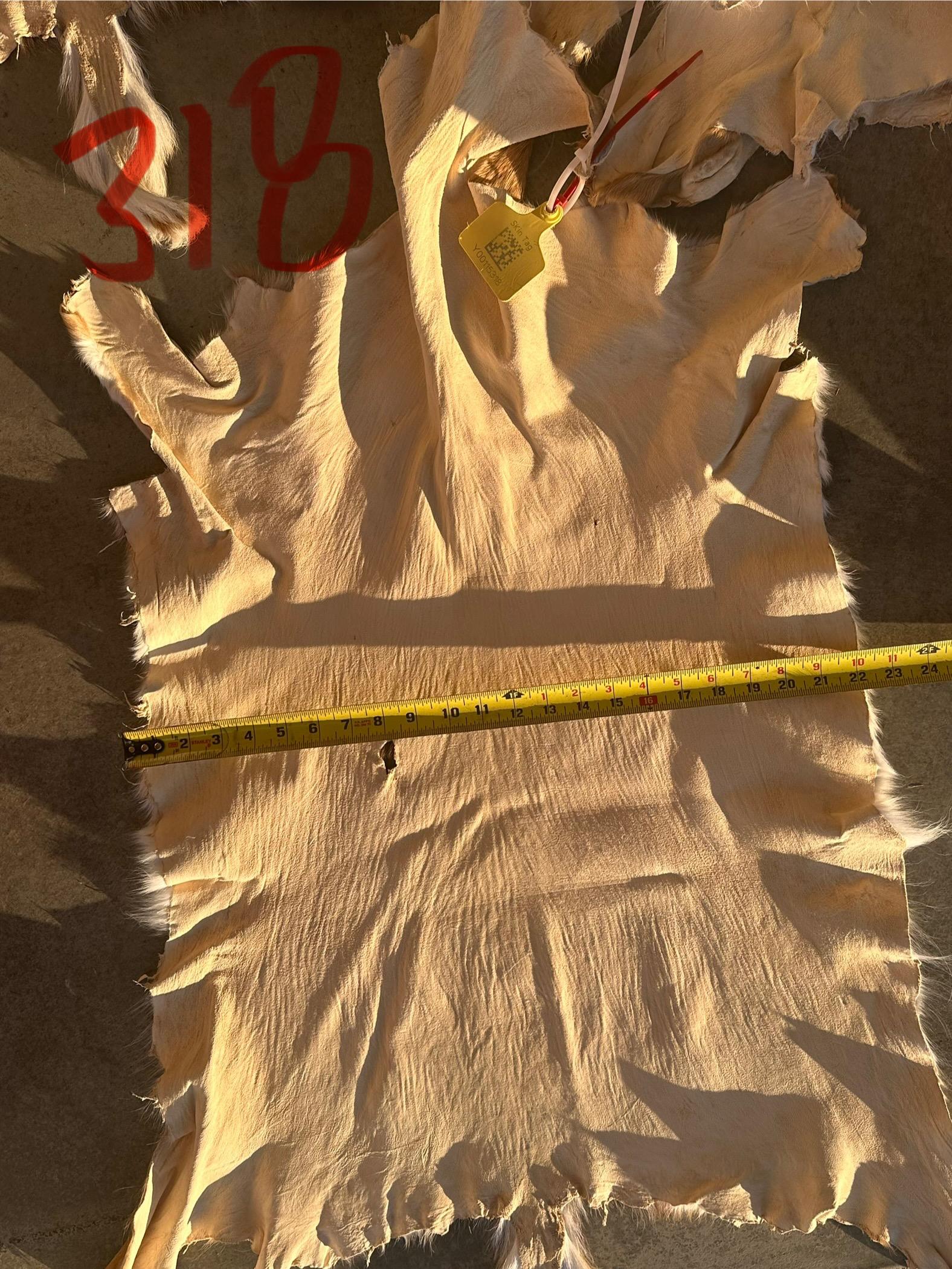 FHWA400 - Professionally tanned XL axis deer hide