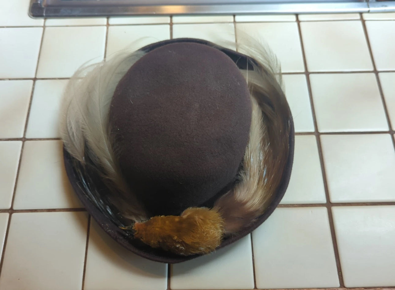 FHEB0811 - Antique Bird of Paradise Vintage taxidermy Skin Hat