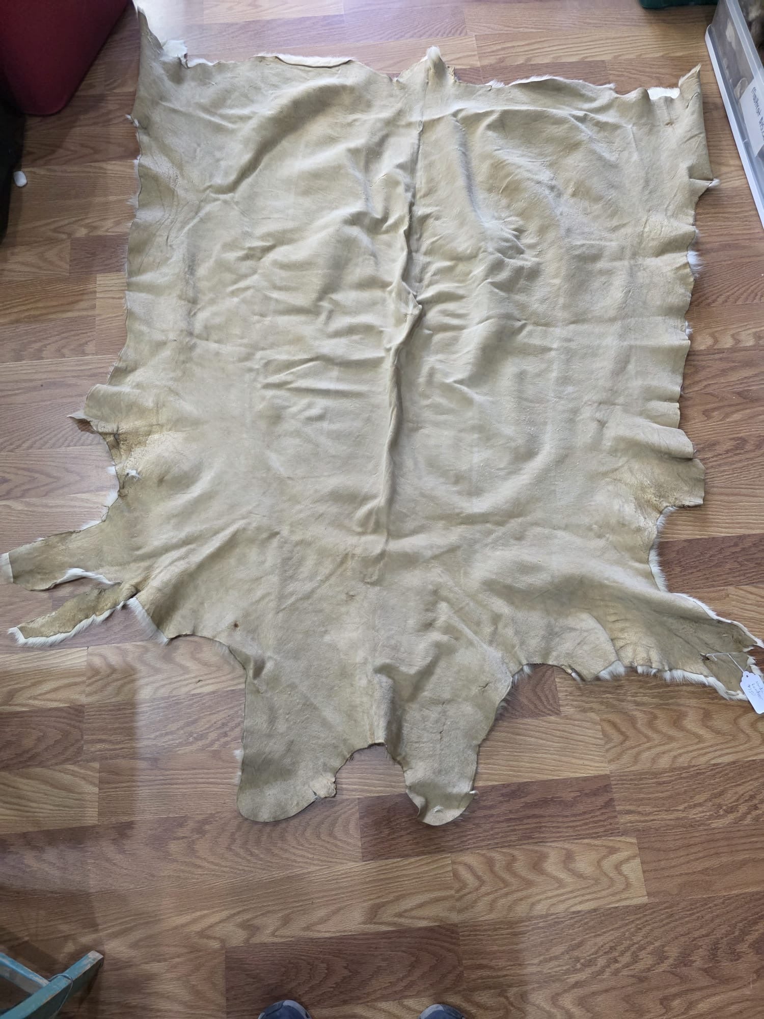FH7829- Premium white Nordic reindeer pelt hide