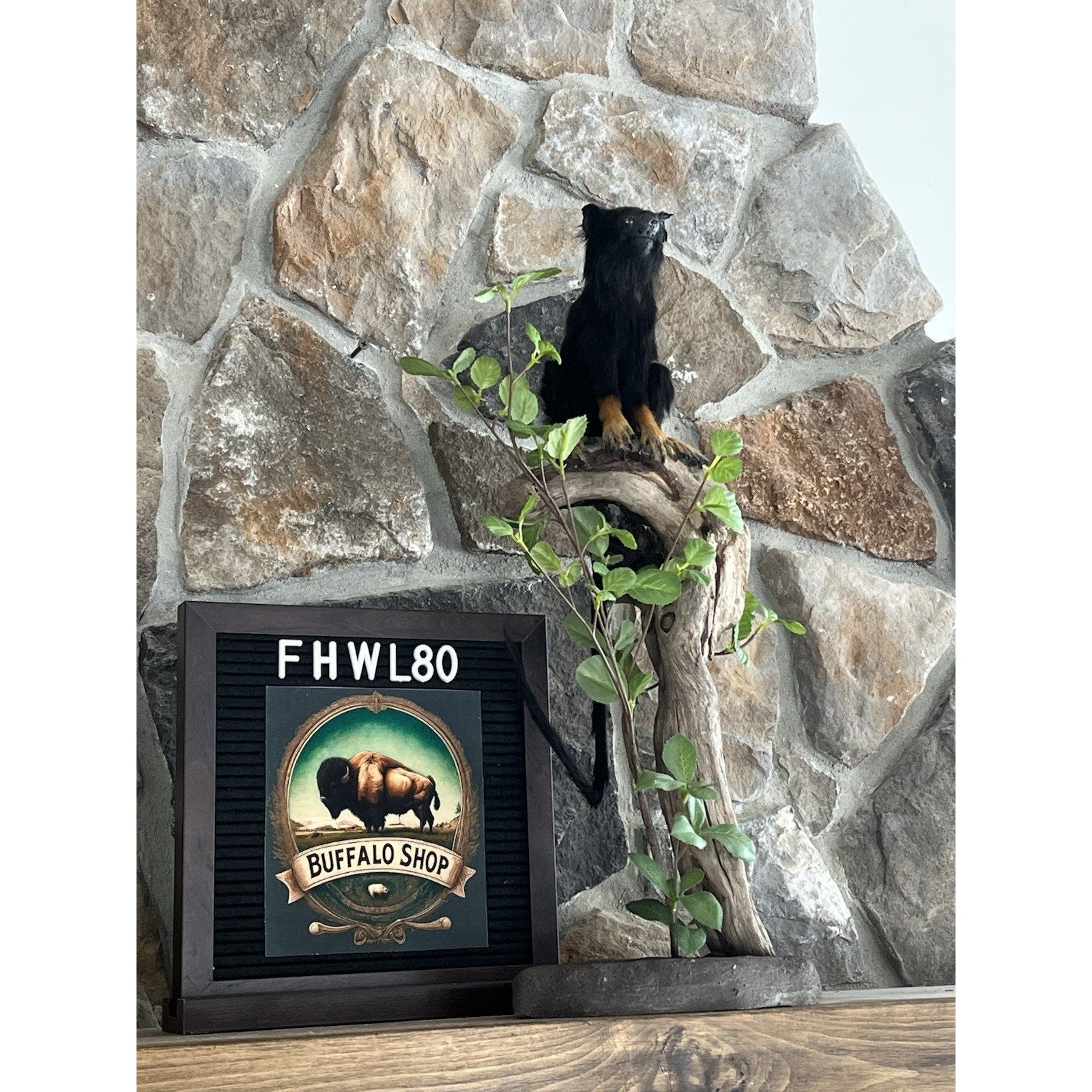 FHWL80 - red-handed tamarin Monkey (Saguinus midas) Taxidermy Mount