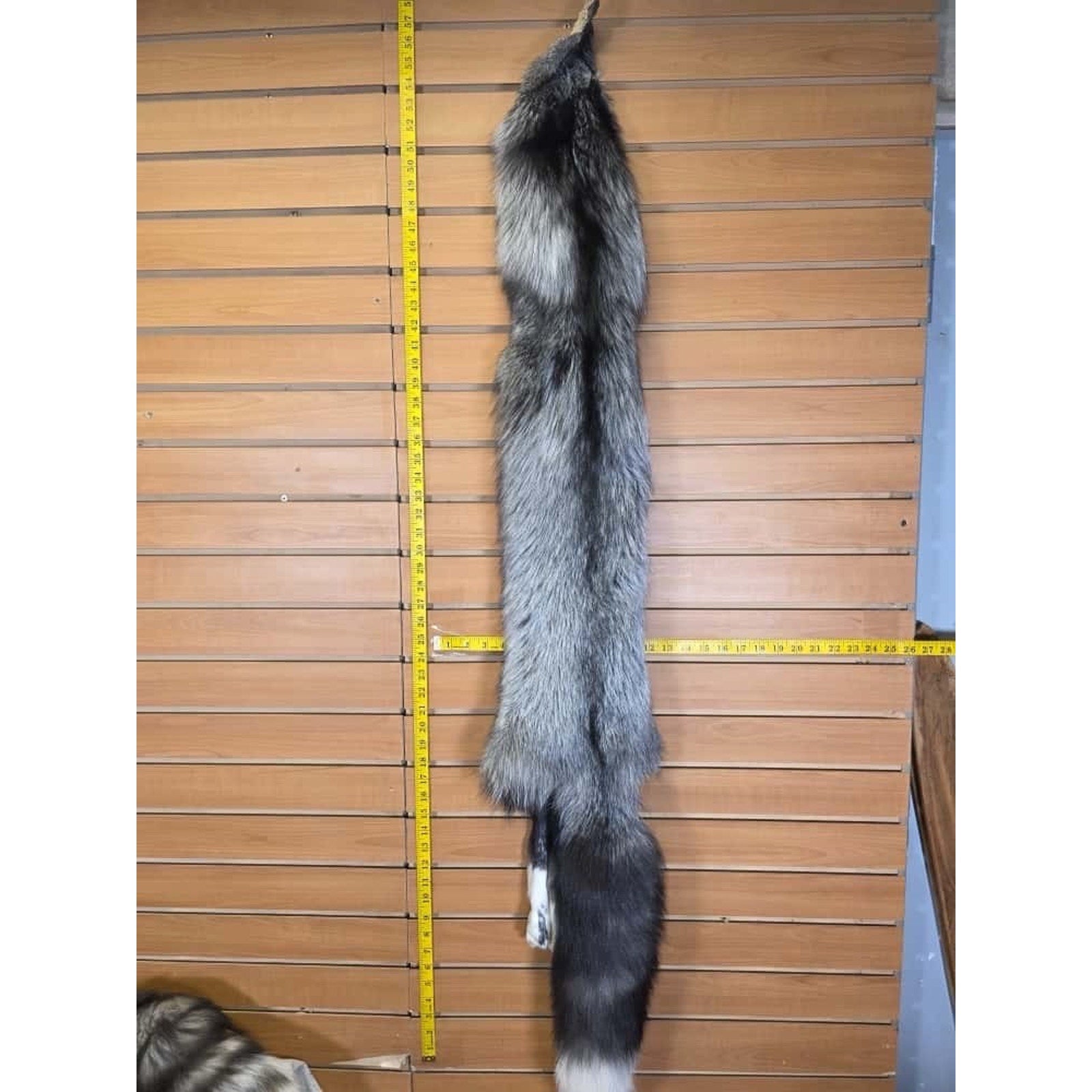 FHCM14 - Gorgeous Ranch Fox Soft Tanned Furs Taxidermy