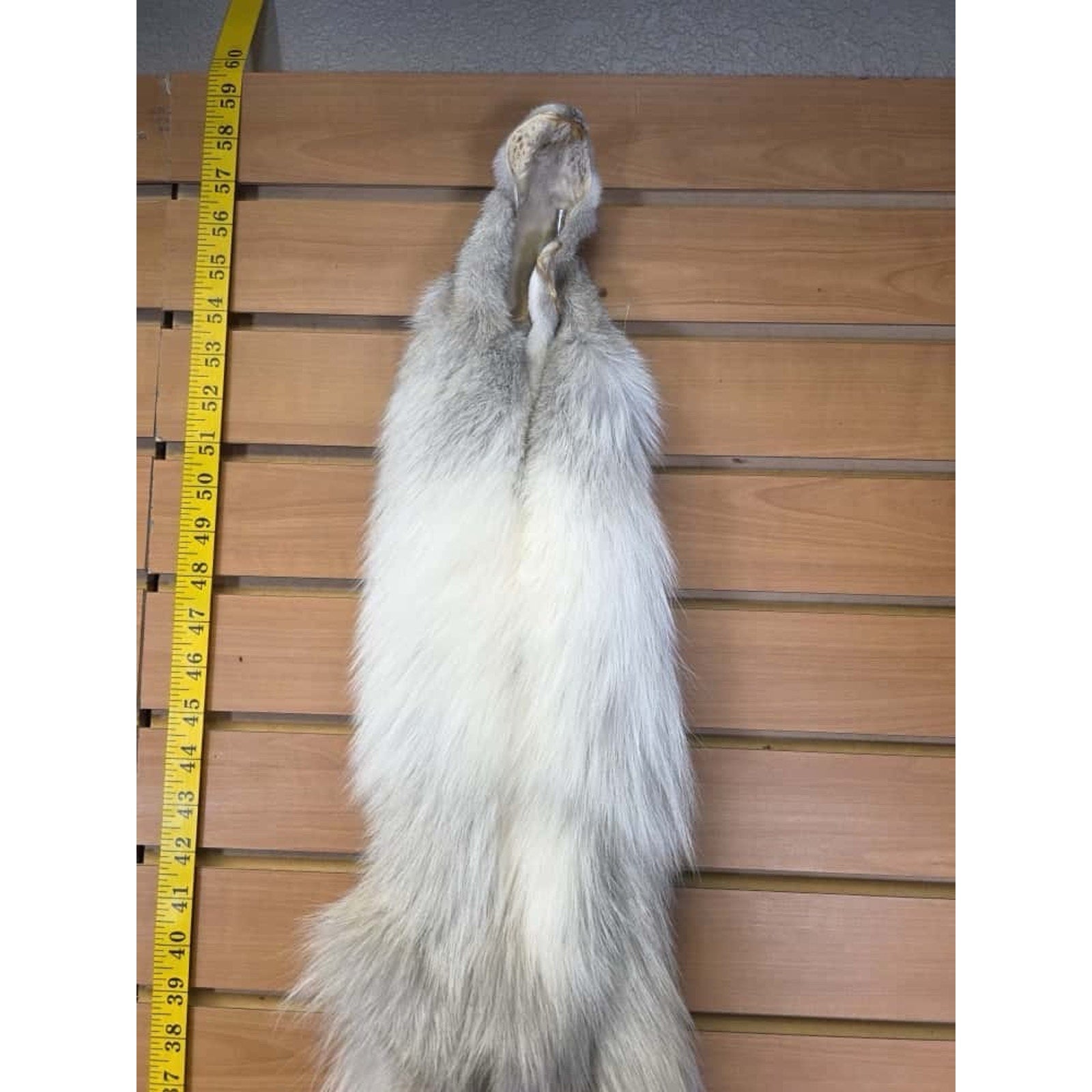 FHCM13 - Ranch Fox Soft Tanned Furs Taxidermy