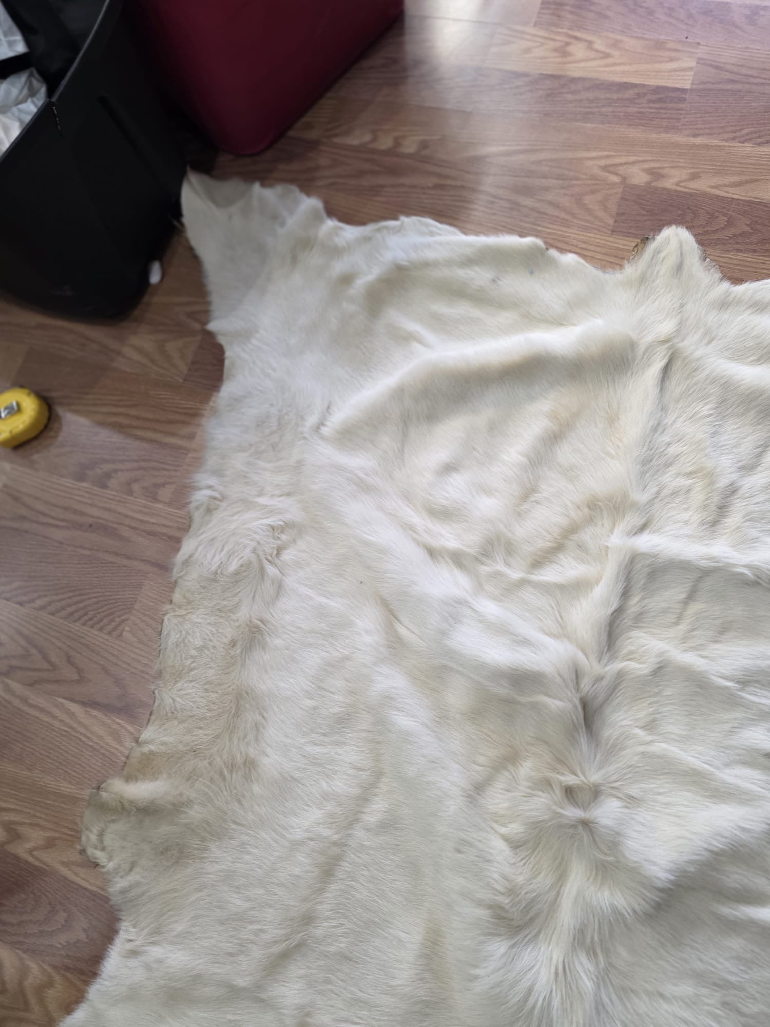FH7829- Premium white Nordic reindeer pelt hide