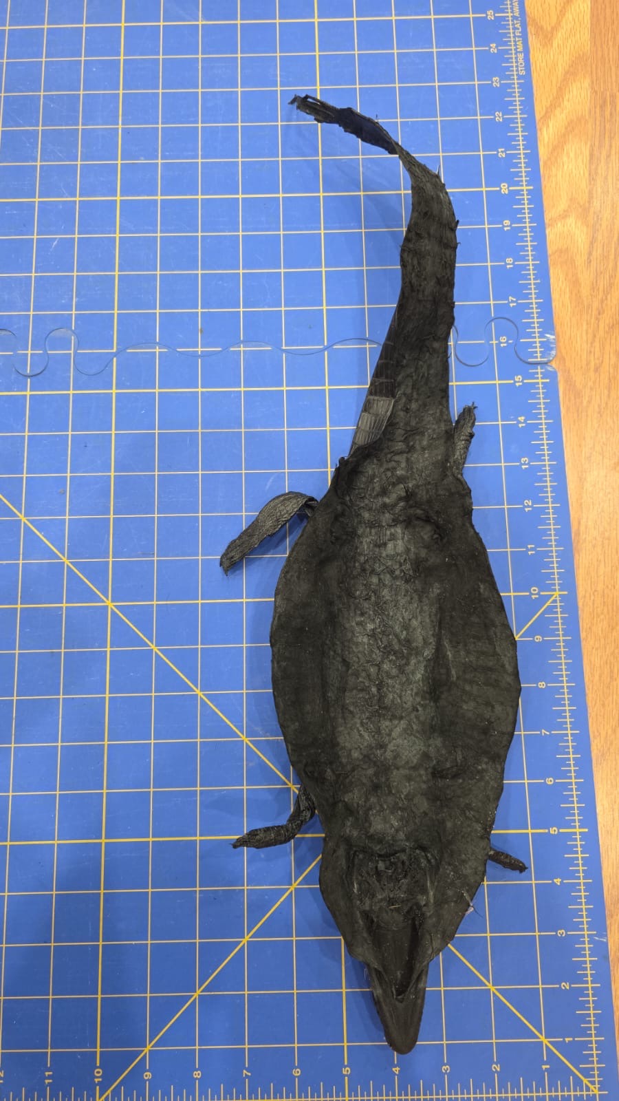 JVN4 - Dyed Alligator Skin Pelt Leather