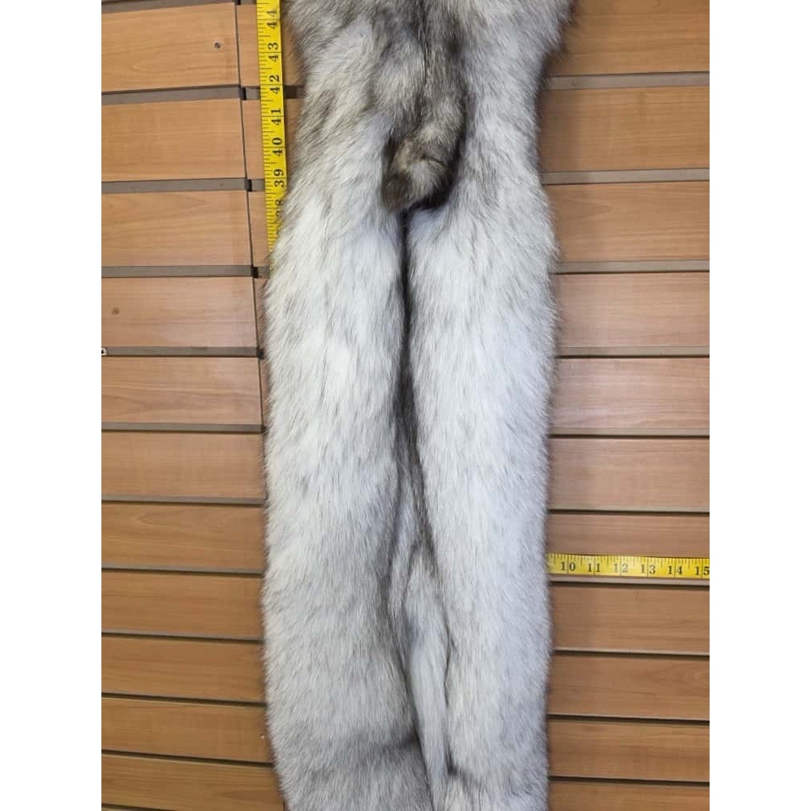 FHCM6- Blue Ranch Fox Soft Tanned Furs Taxidermy