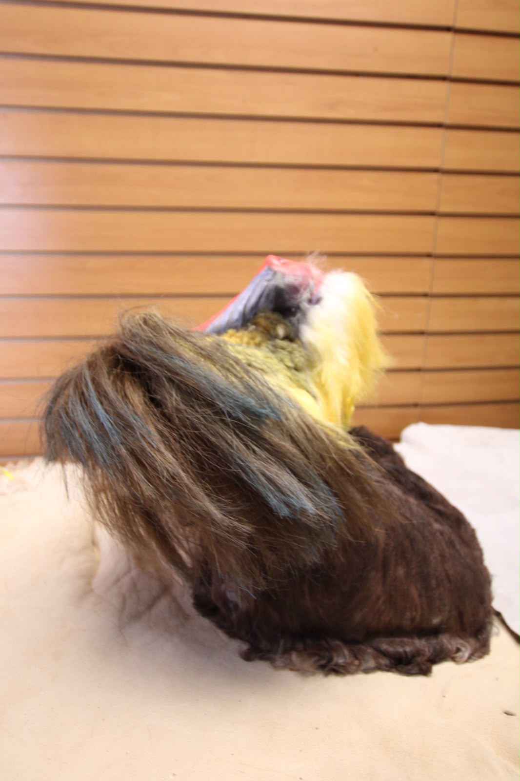 FHRBB09 - Reproduction mandrill monkey taxidermy mount