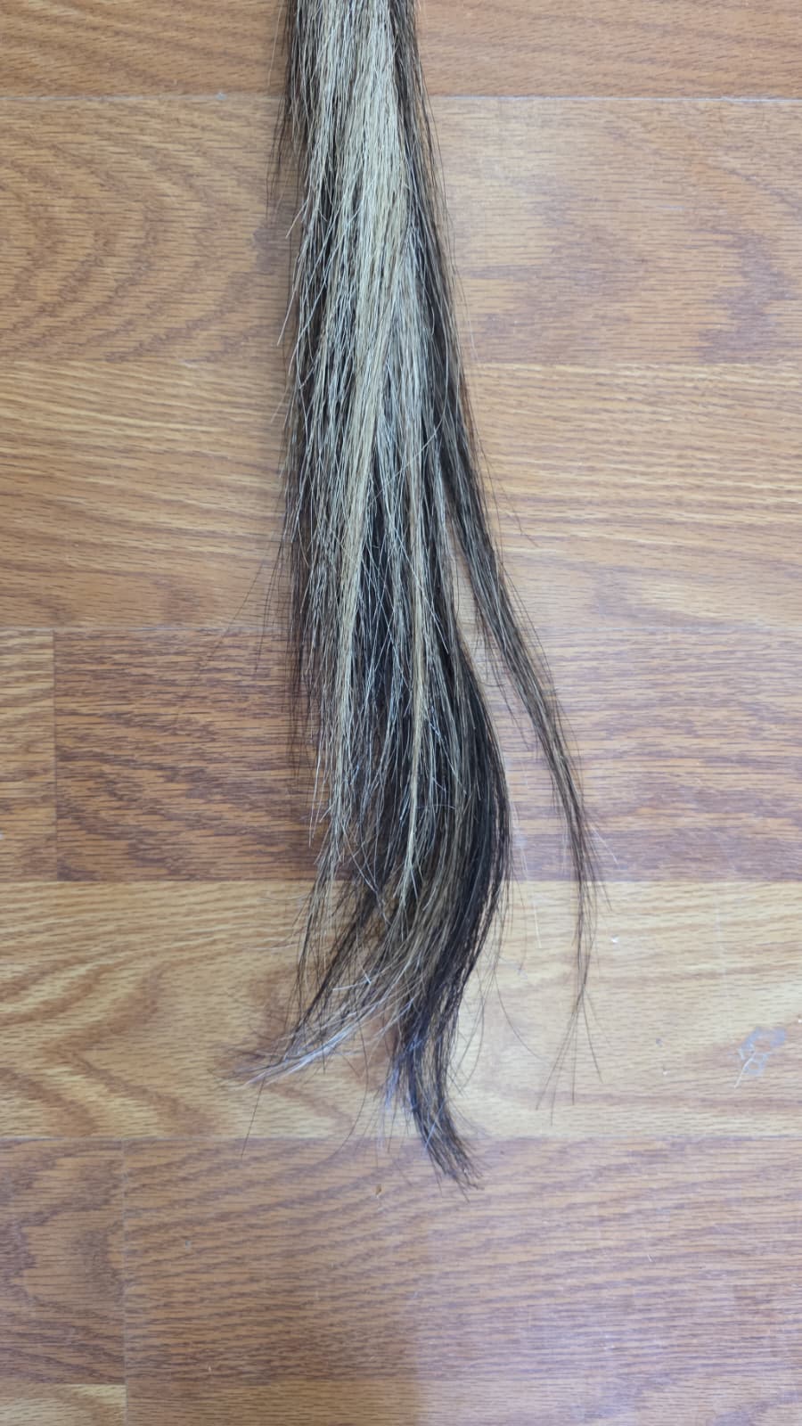 JVTL23 - African Tail Whip – 36” Display Piece
