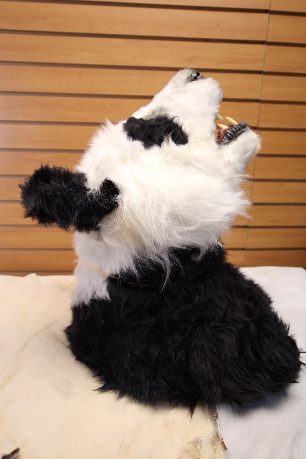 FJRB06 - reproduction Taxidermy Giant Panda Shoulder Mount