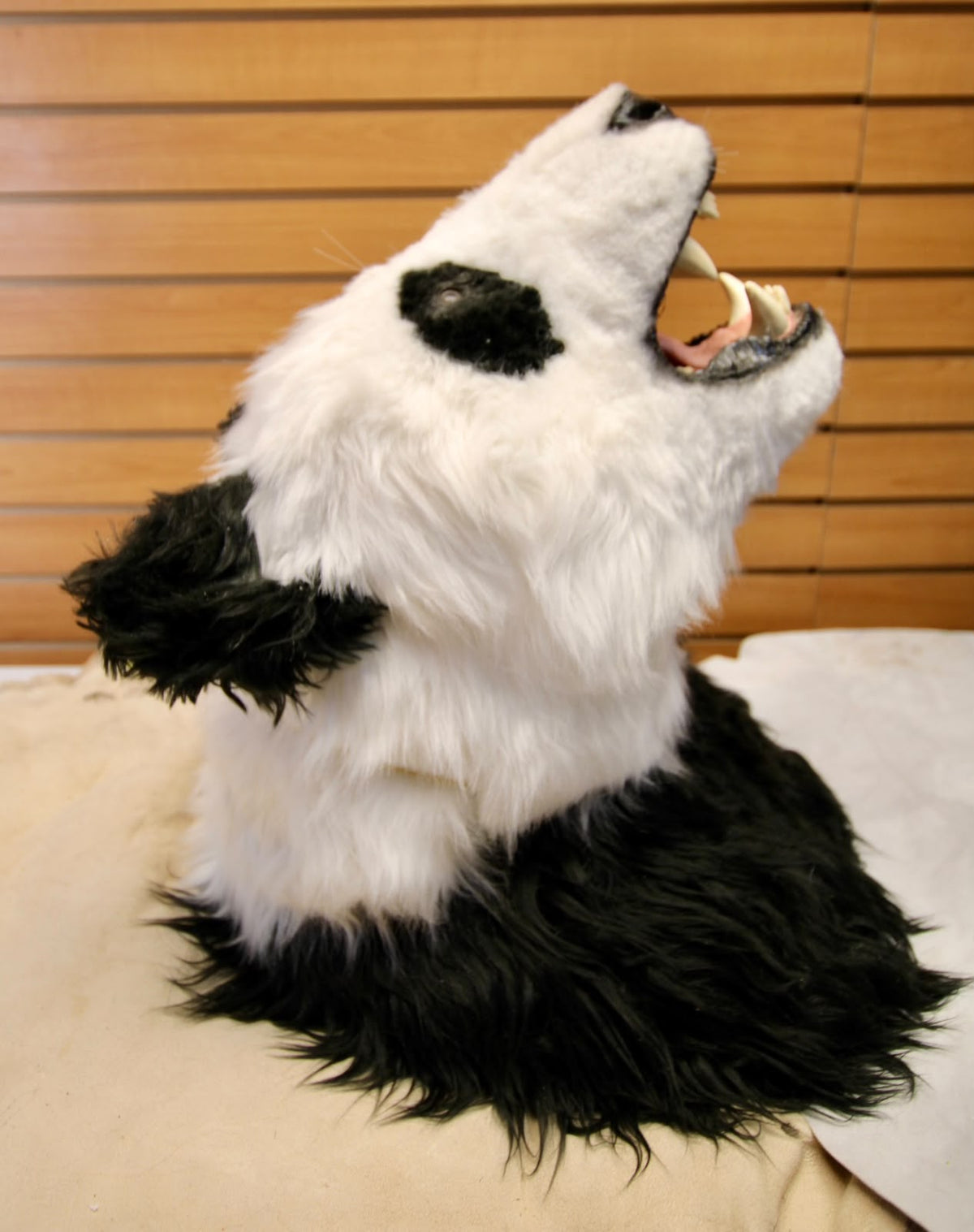 FHRB07 - reproduction Taxidermy Giant Panda Shoulder Mount