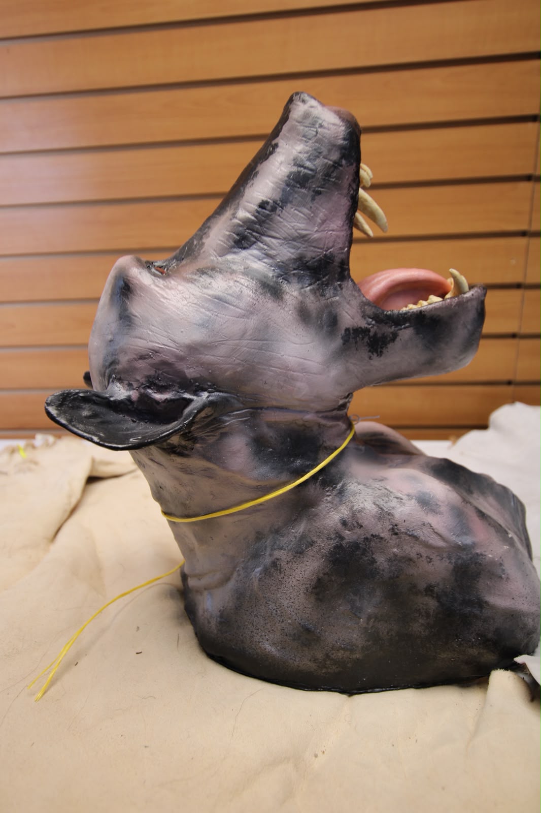 FHRBB06 - reproduction Artisanal Taxidermy Dog Specimen