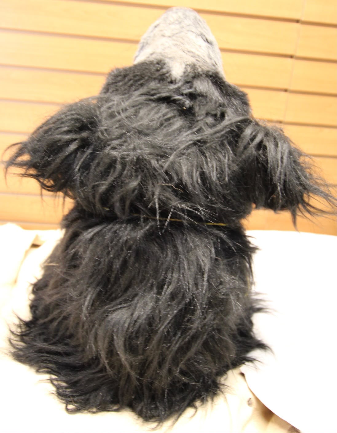 FJRB02 - reproduction Taxidermy Mythological Black Werewolf Custom Shoulder Mount