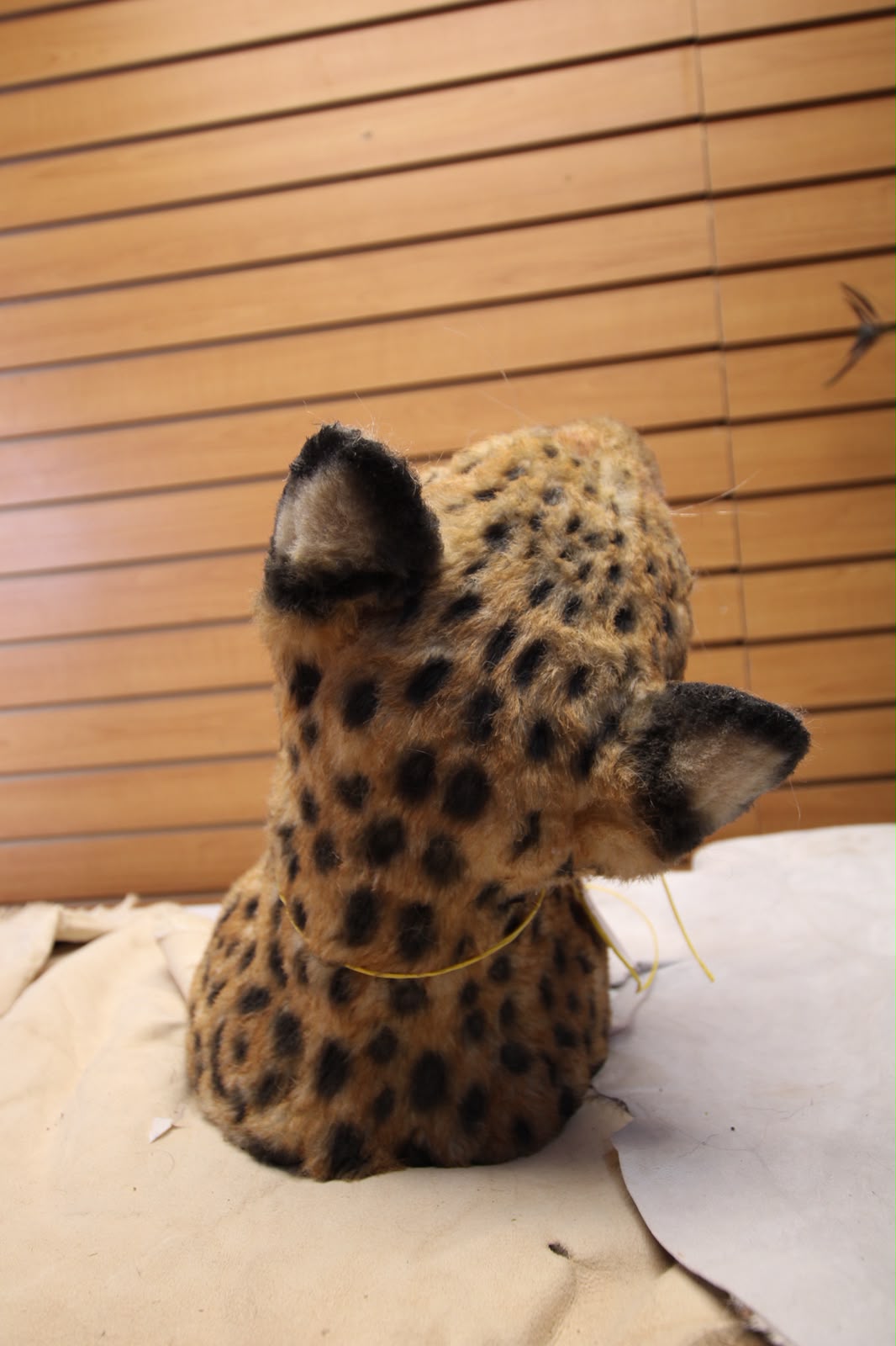 FHRBC03 - reproduction Taxidermy African Leopard Open-Mouth Shoulder Mount