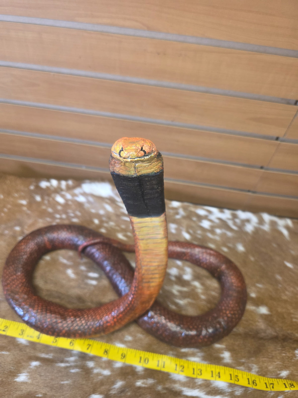 Fhsp101 - Taxidermy King Cobra Sculpture – Preserved Specimen