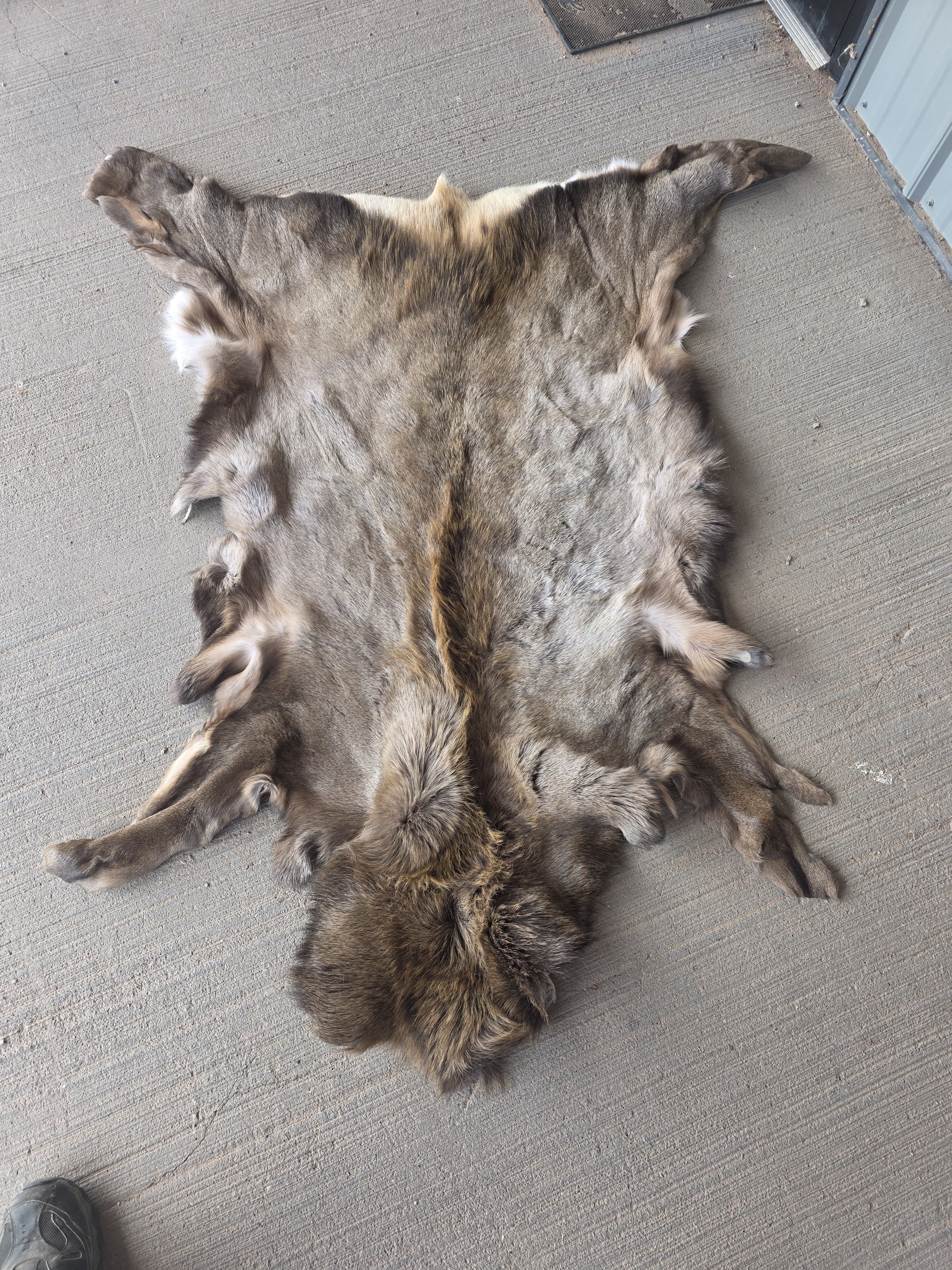 FHRAN86 - Elk Hide Pelt Fur – 48” x 29”