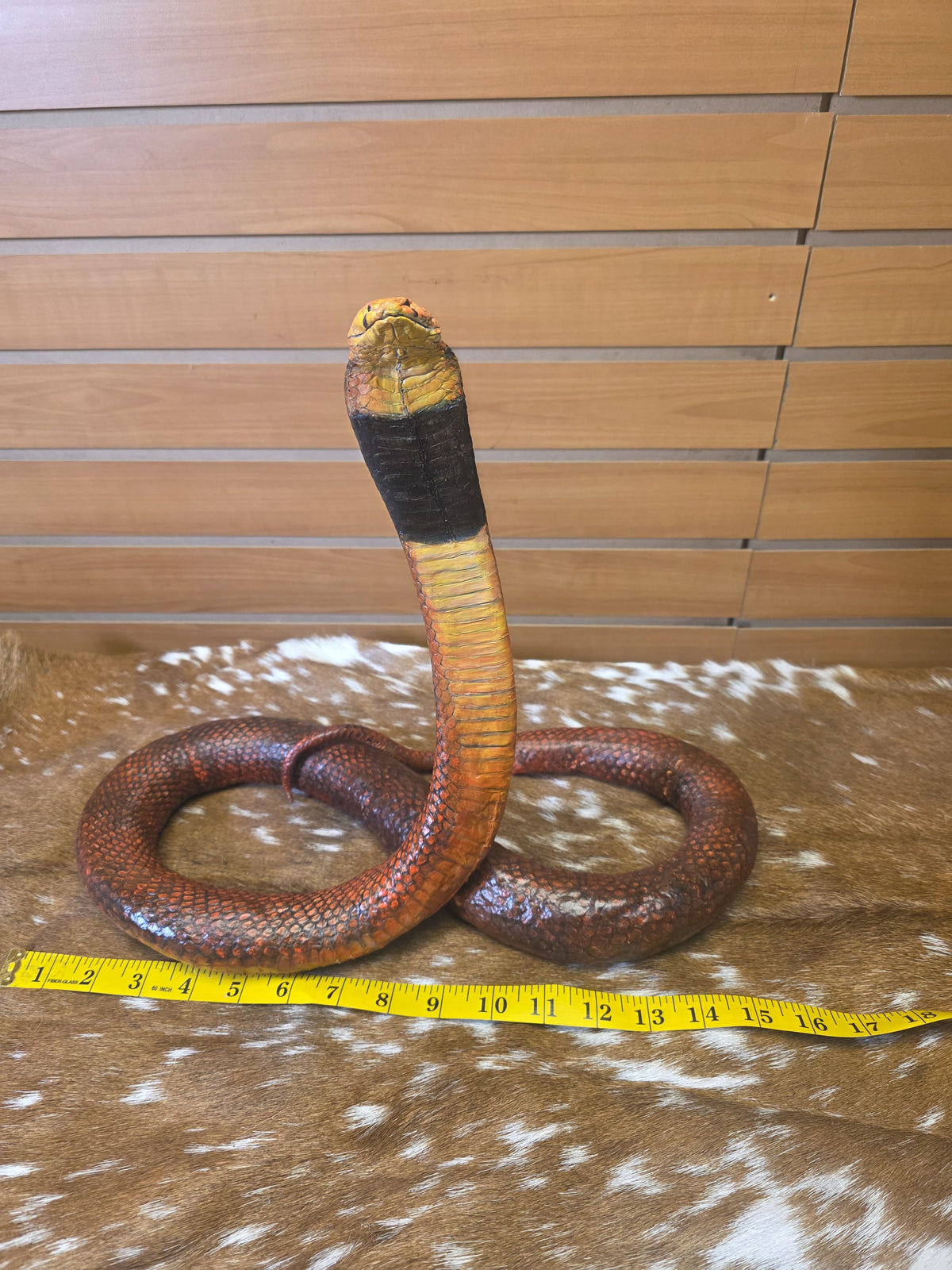 Fhsp101 - Taxidermy King Cobra Sculpture – Preserved Specimen