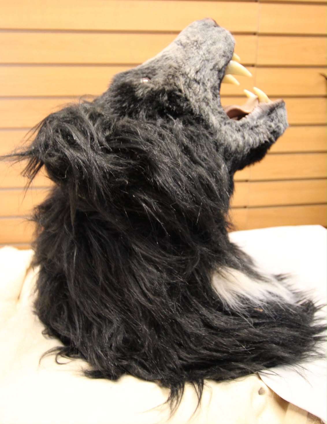 FJRB02 - reproduction Taxidermy Mythological Black Werewolf Custom Shoulder Mount