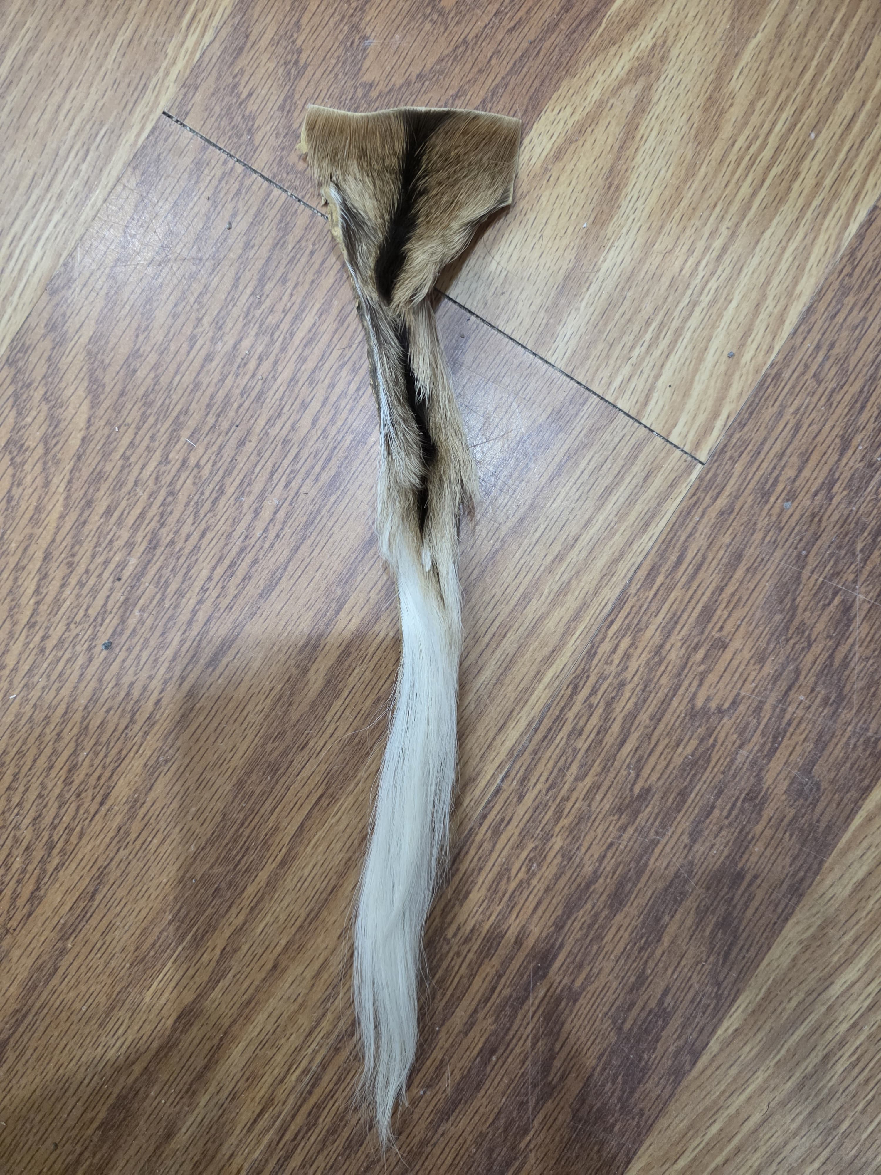 JVTL14 - Impala Hide / Fur – 13” Natural Rustic Display